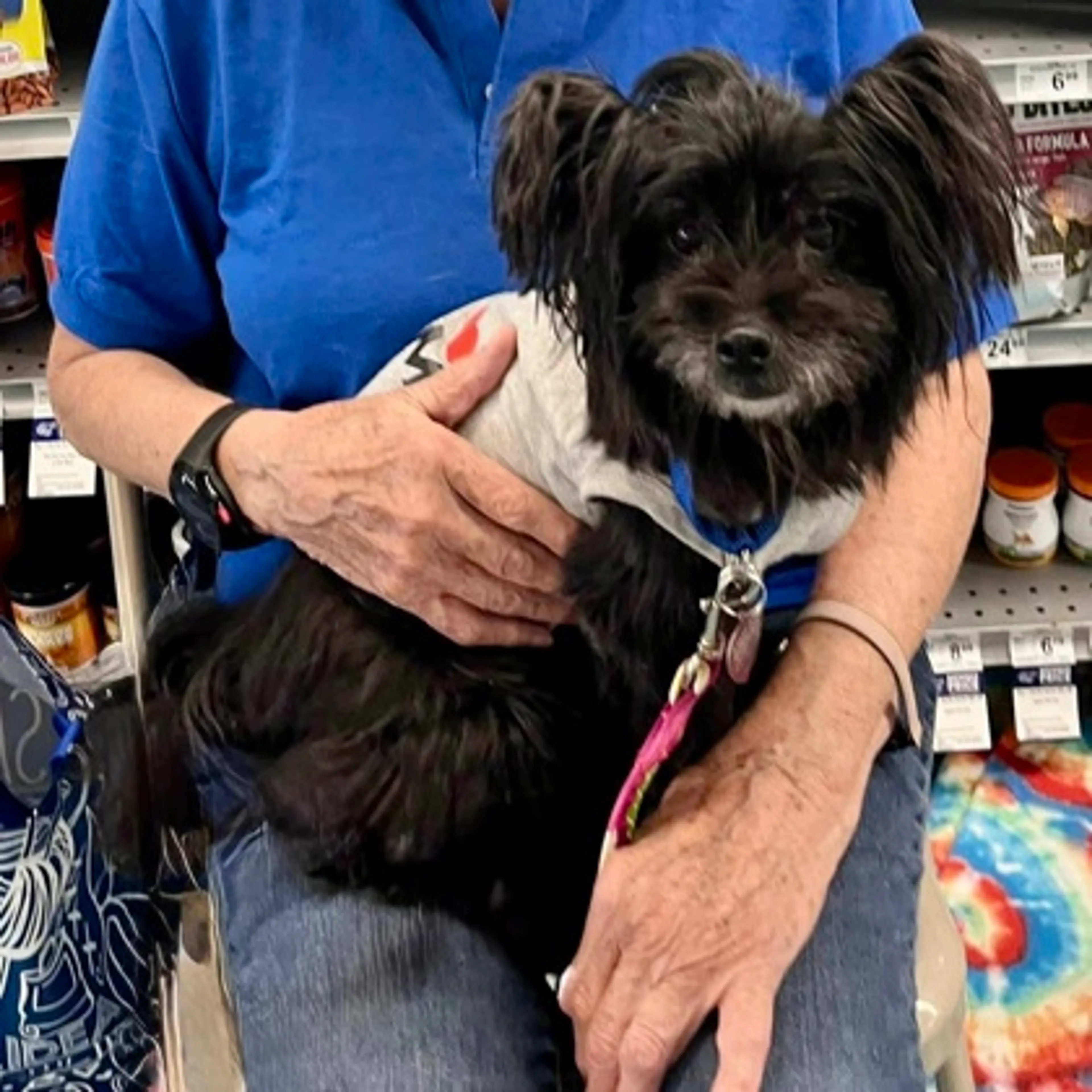 Found pet-1