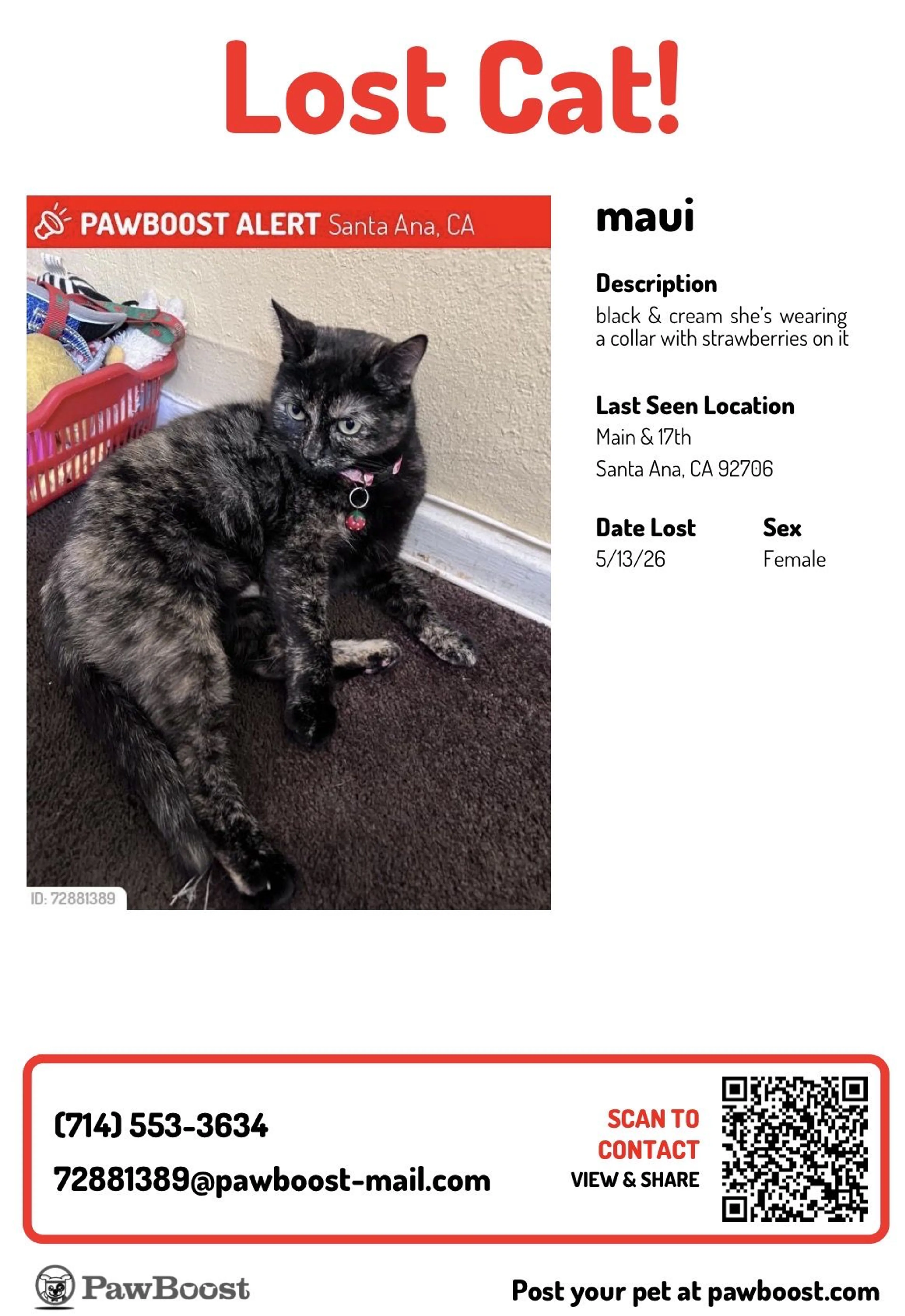 Lost pet