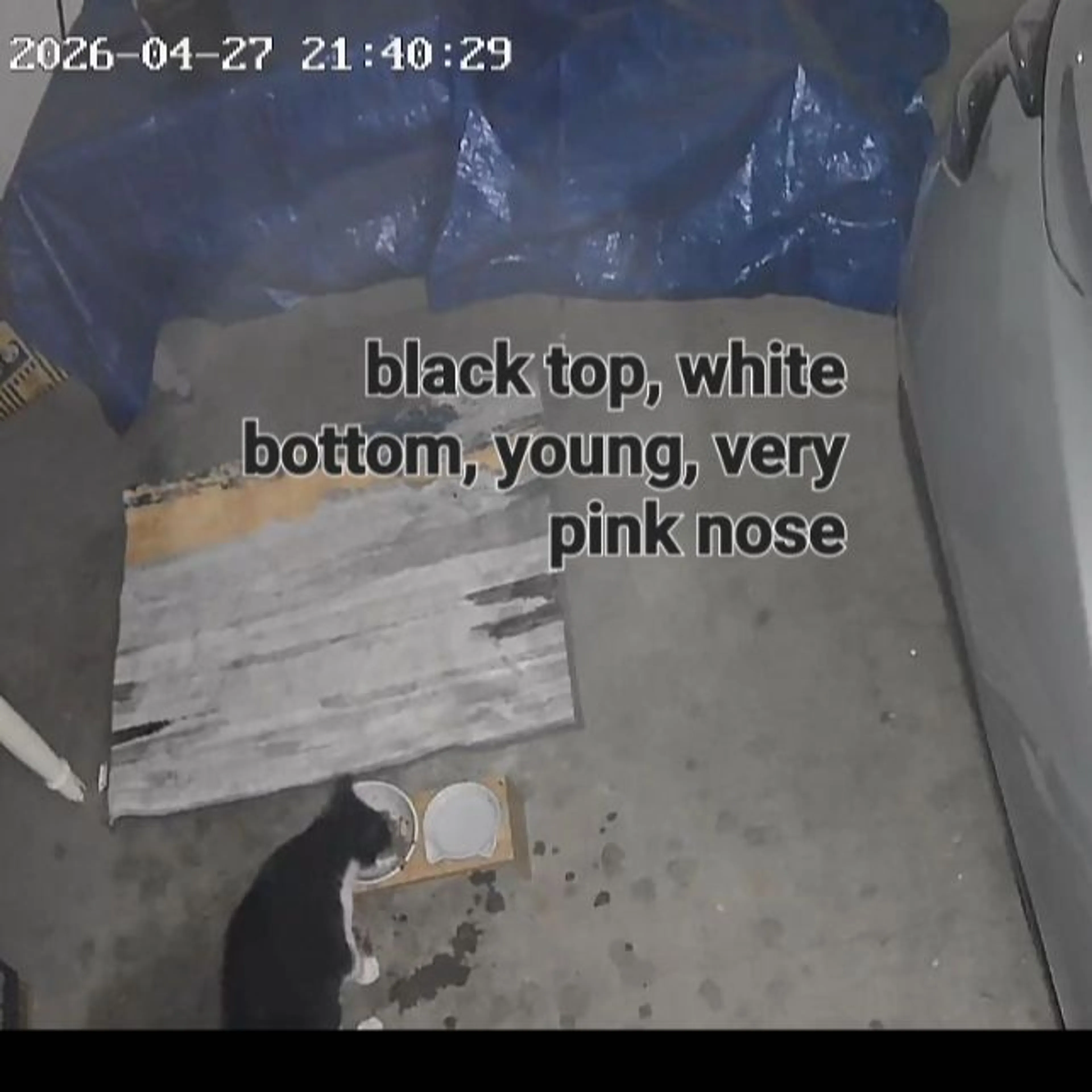cdn image