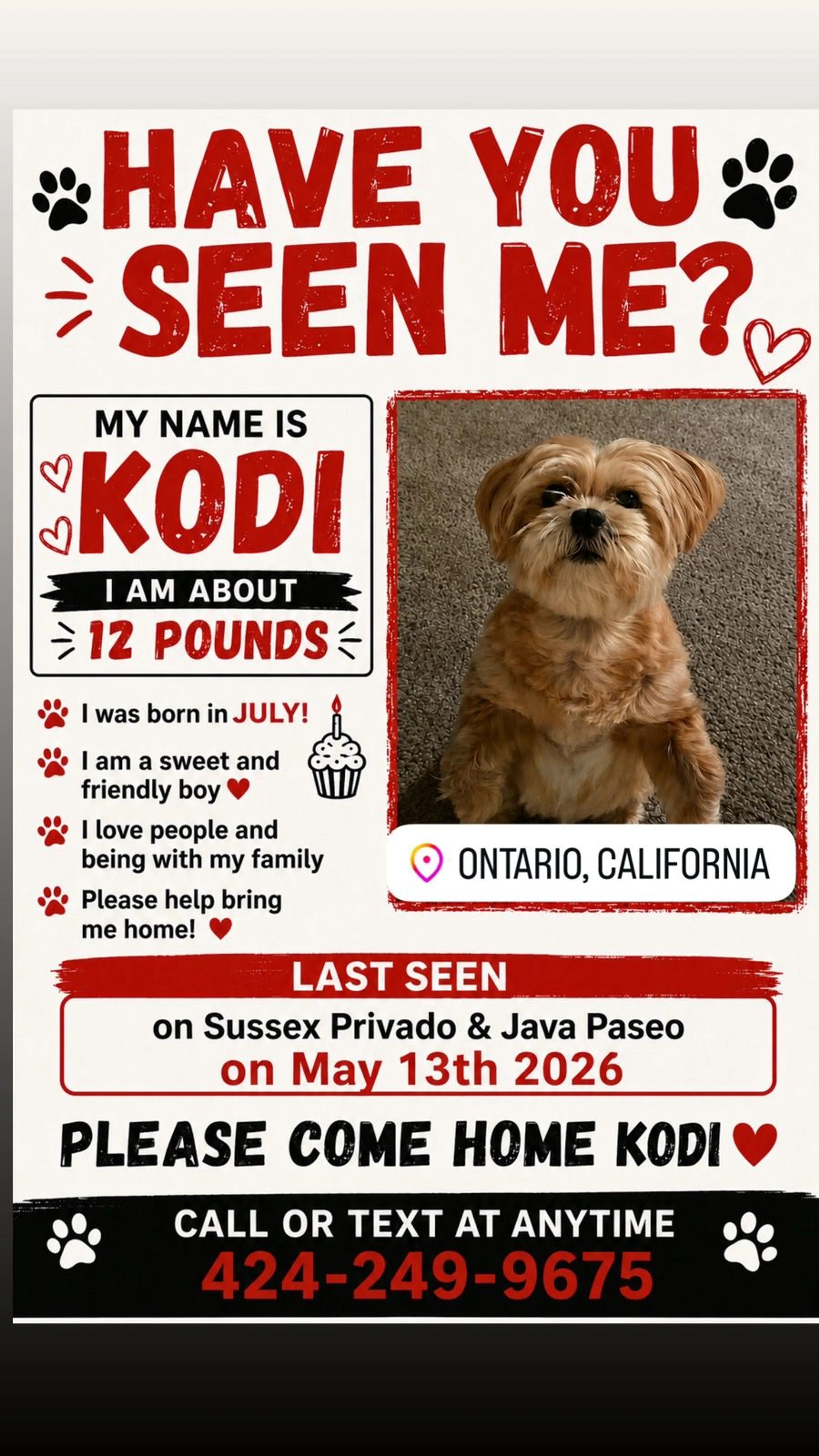 Lost pet
