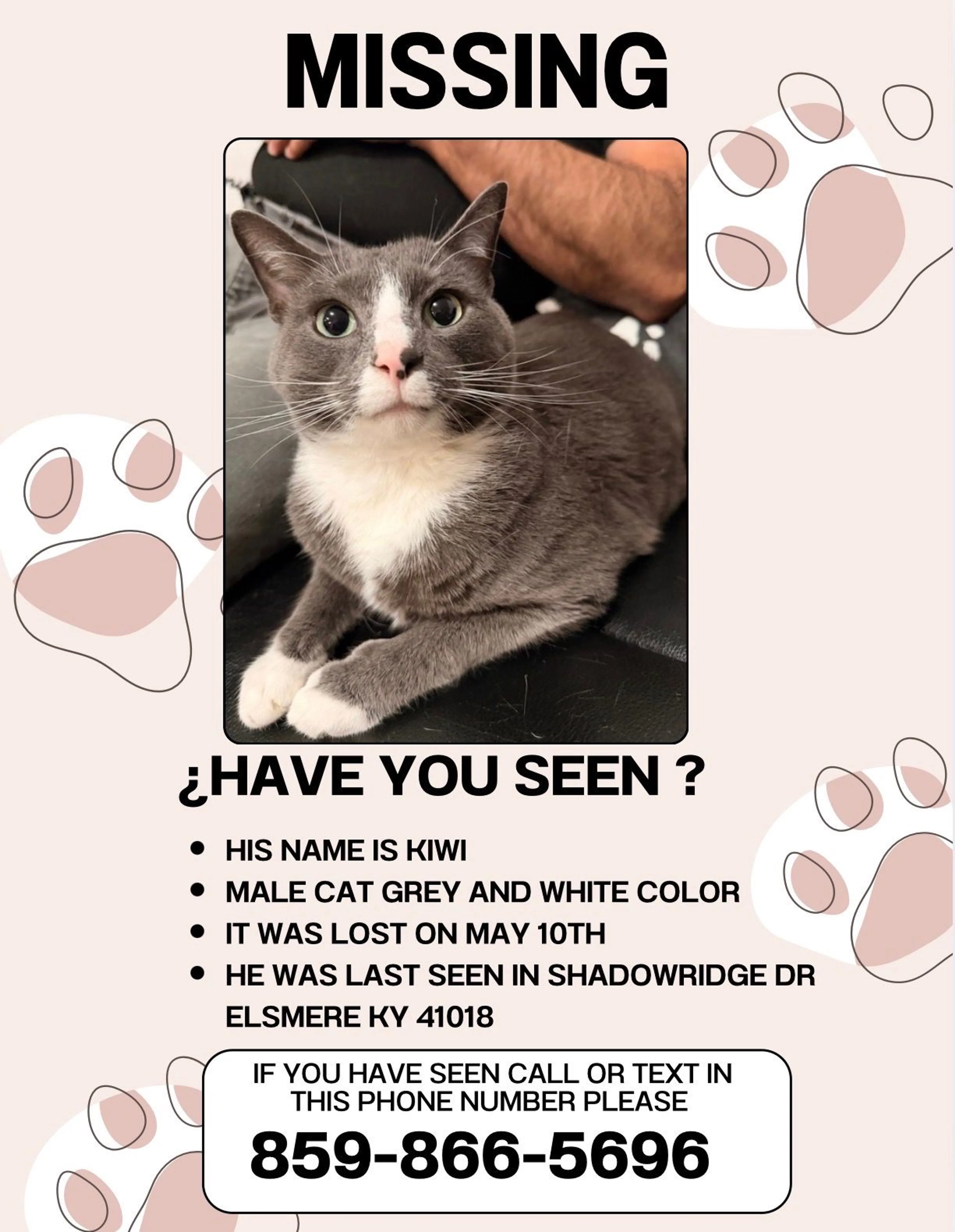 Lost pet-0