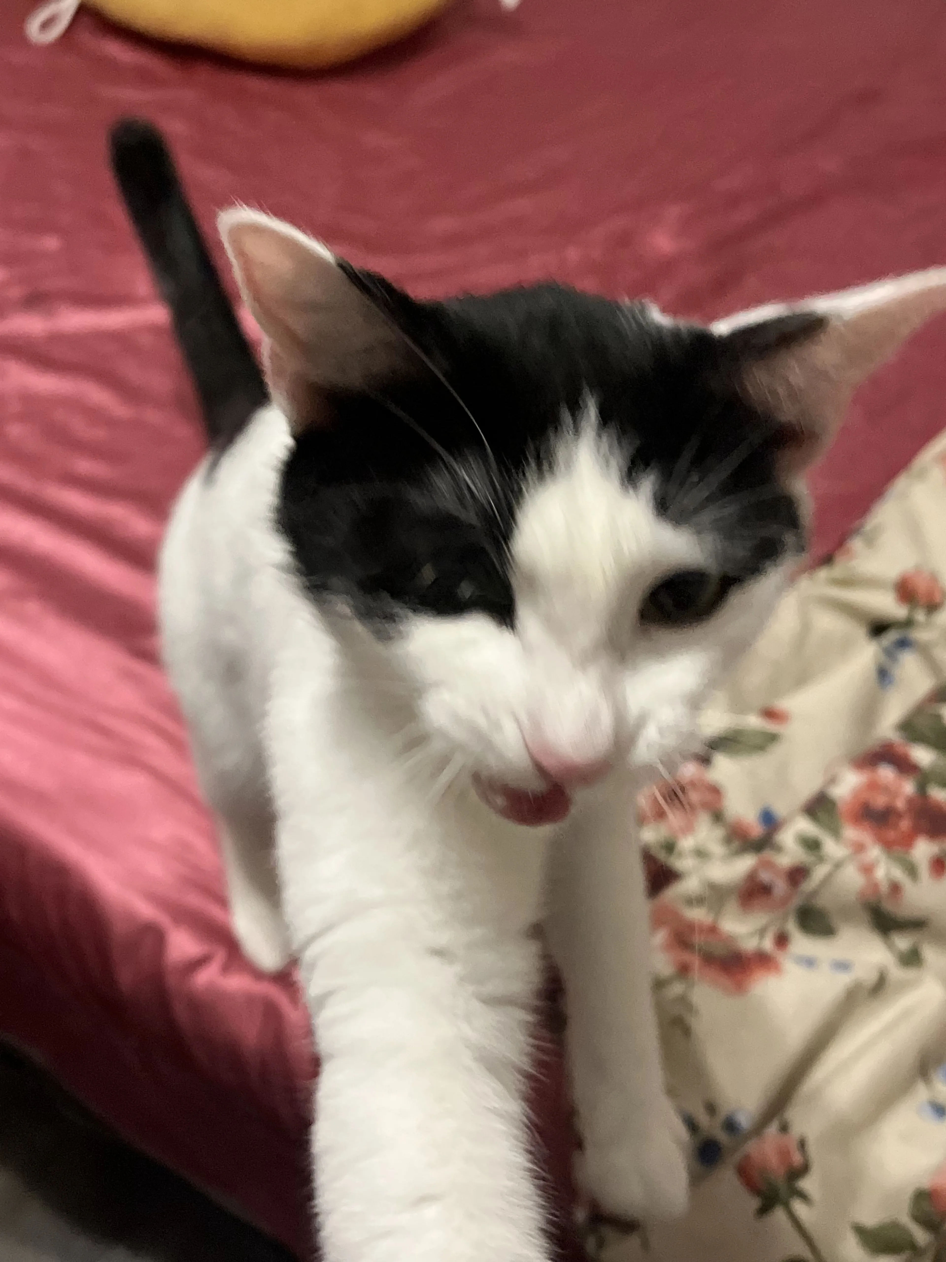 -0
