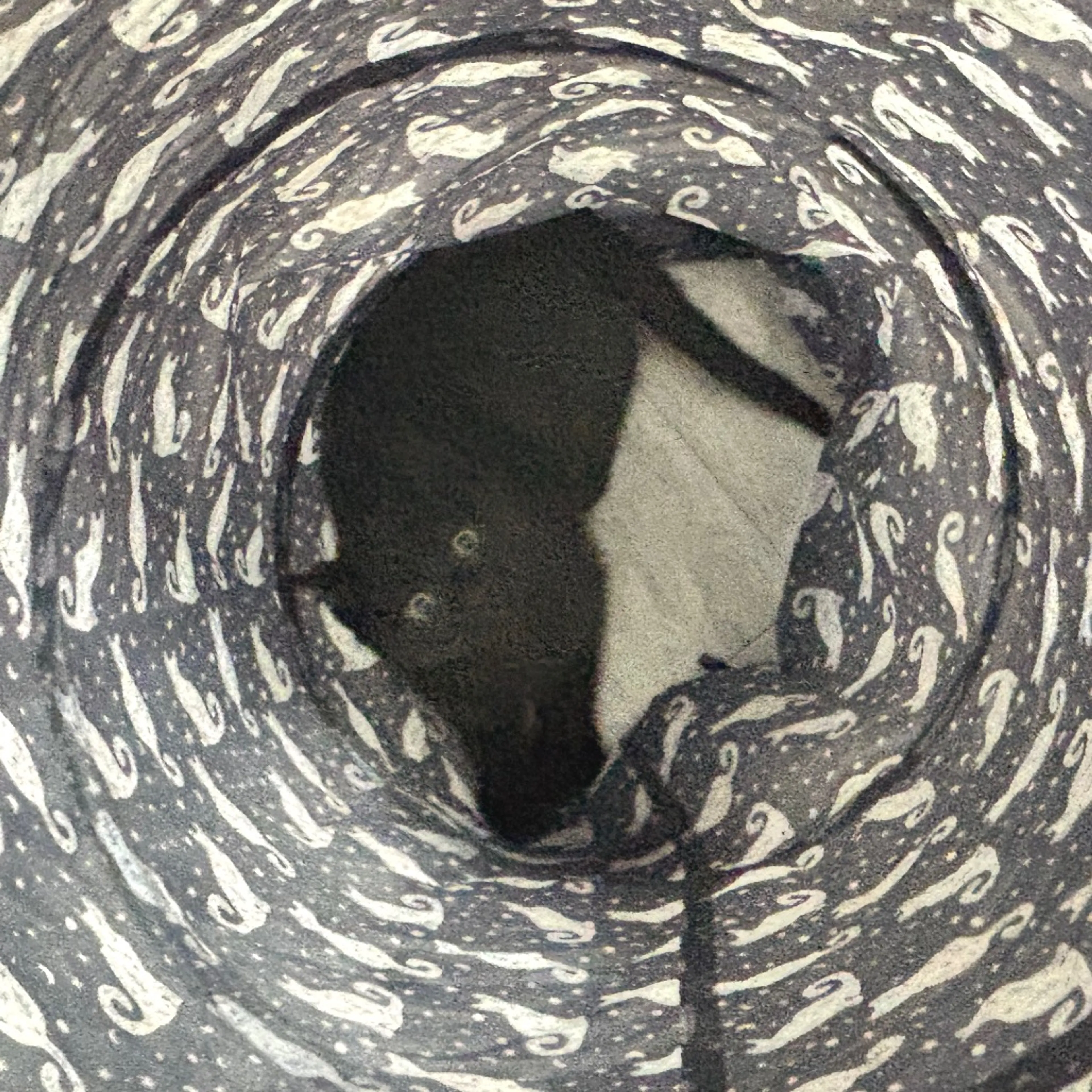 Found pet-11
