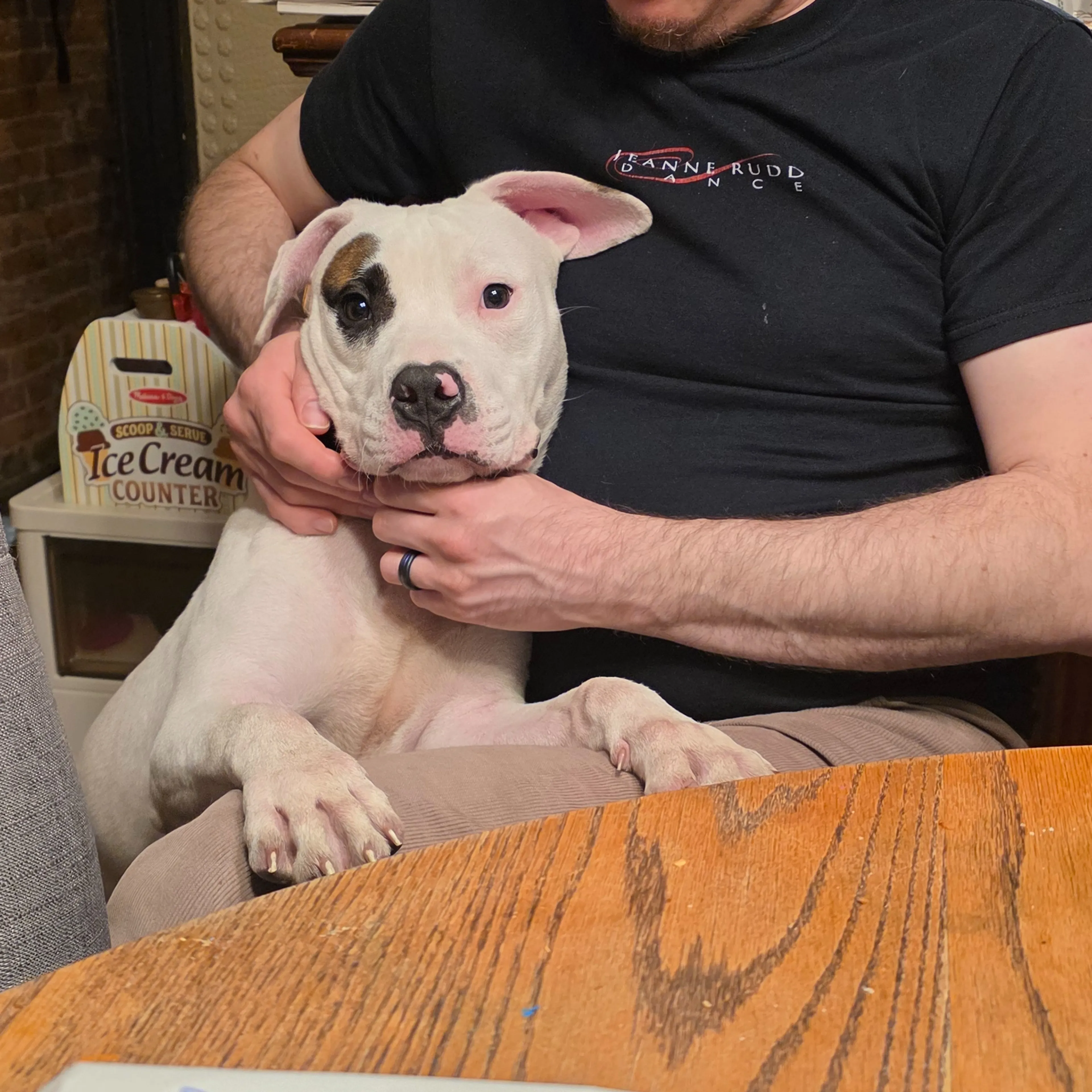 Found pet-2