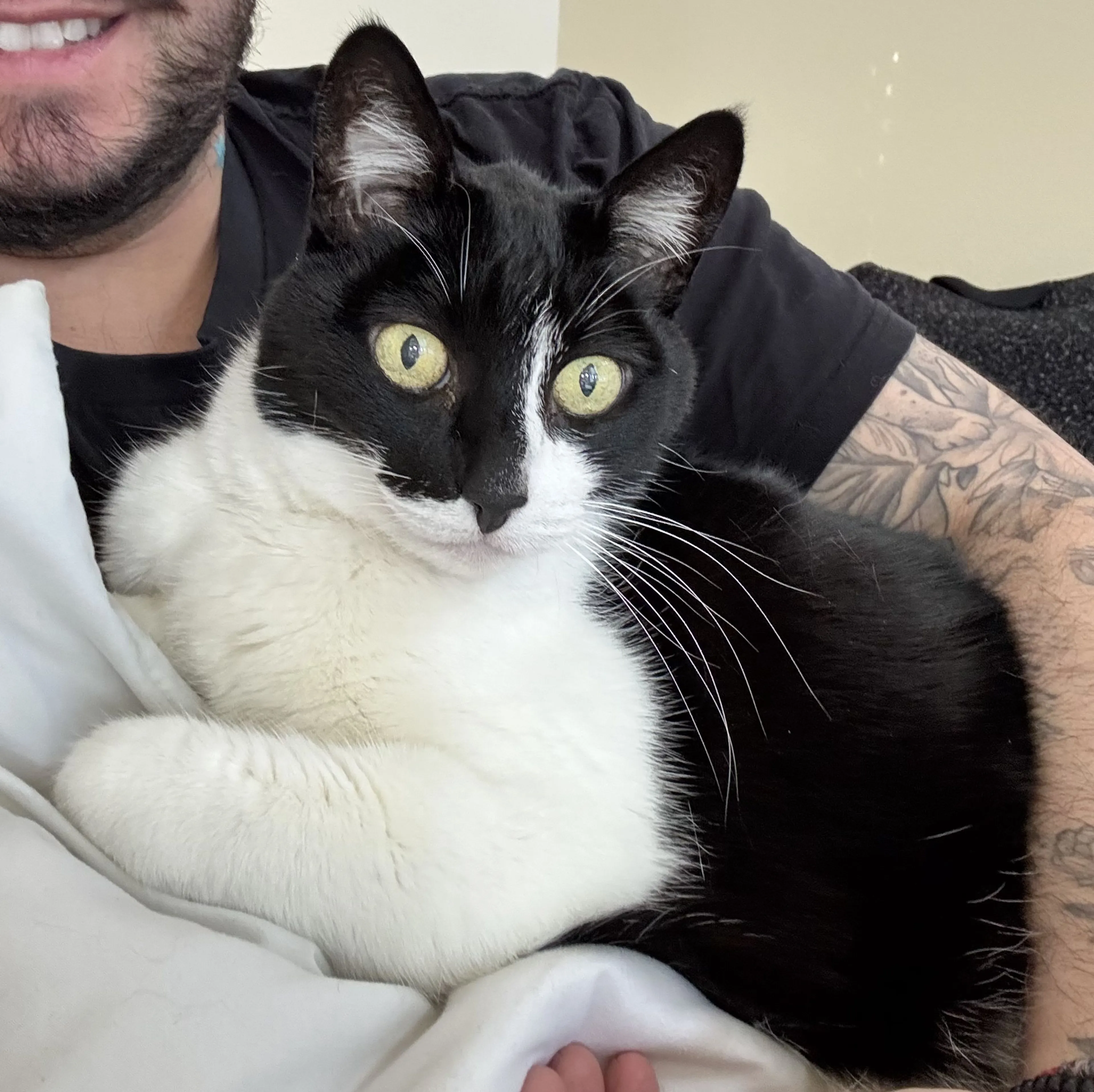 Lost pet