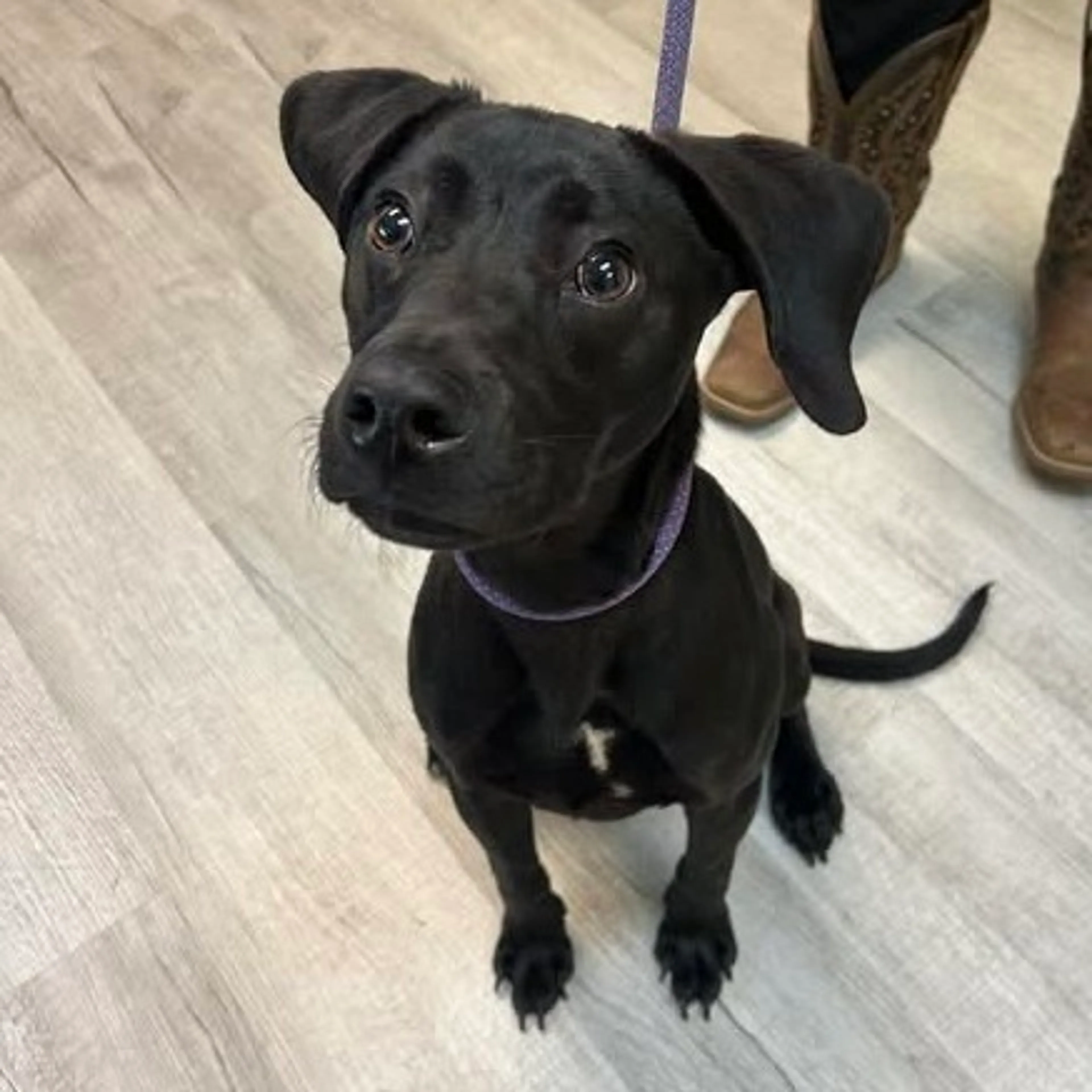 -1