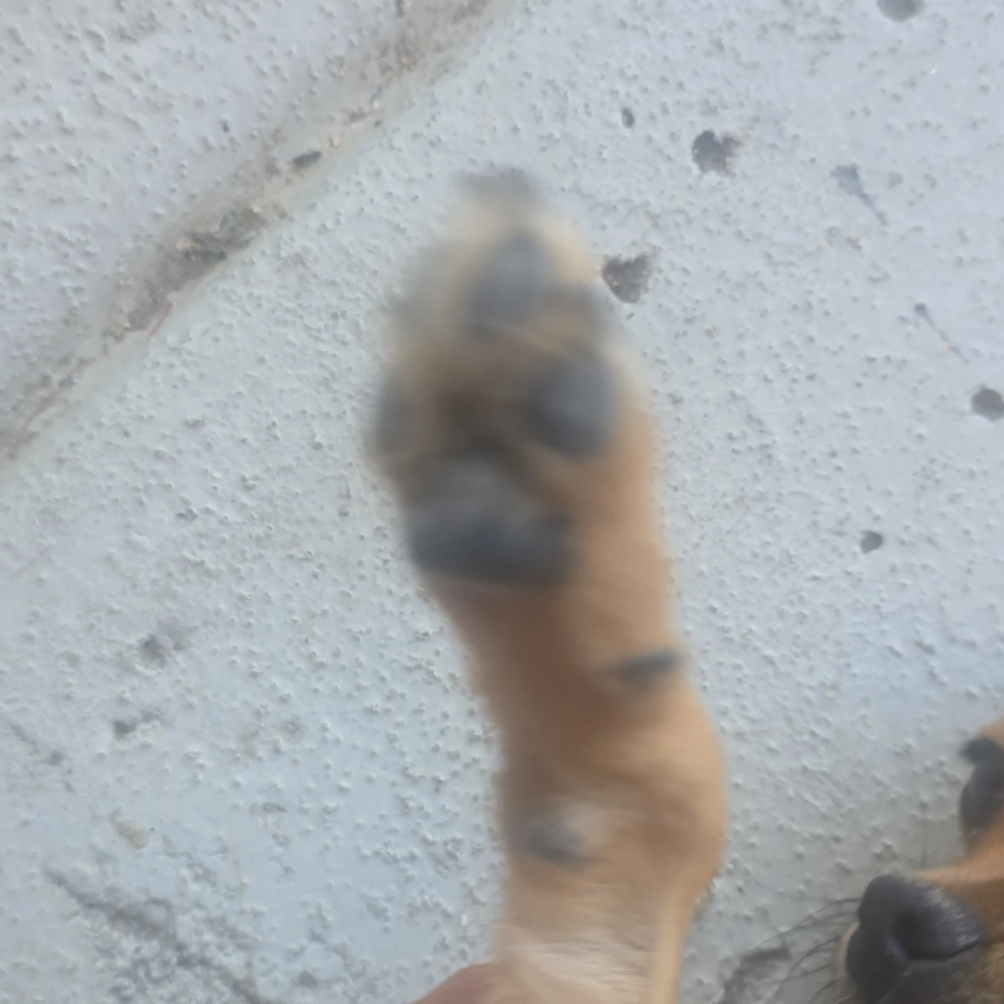 -3