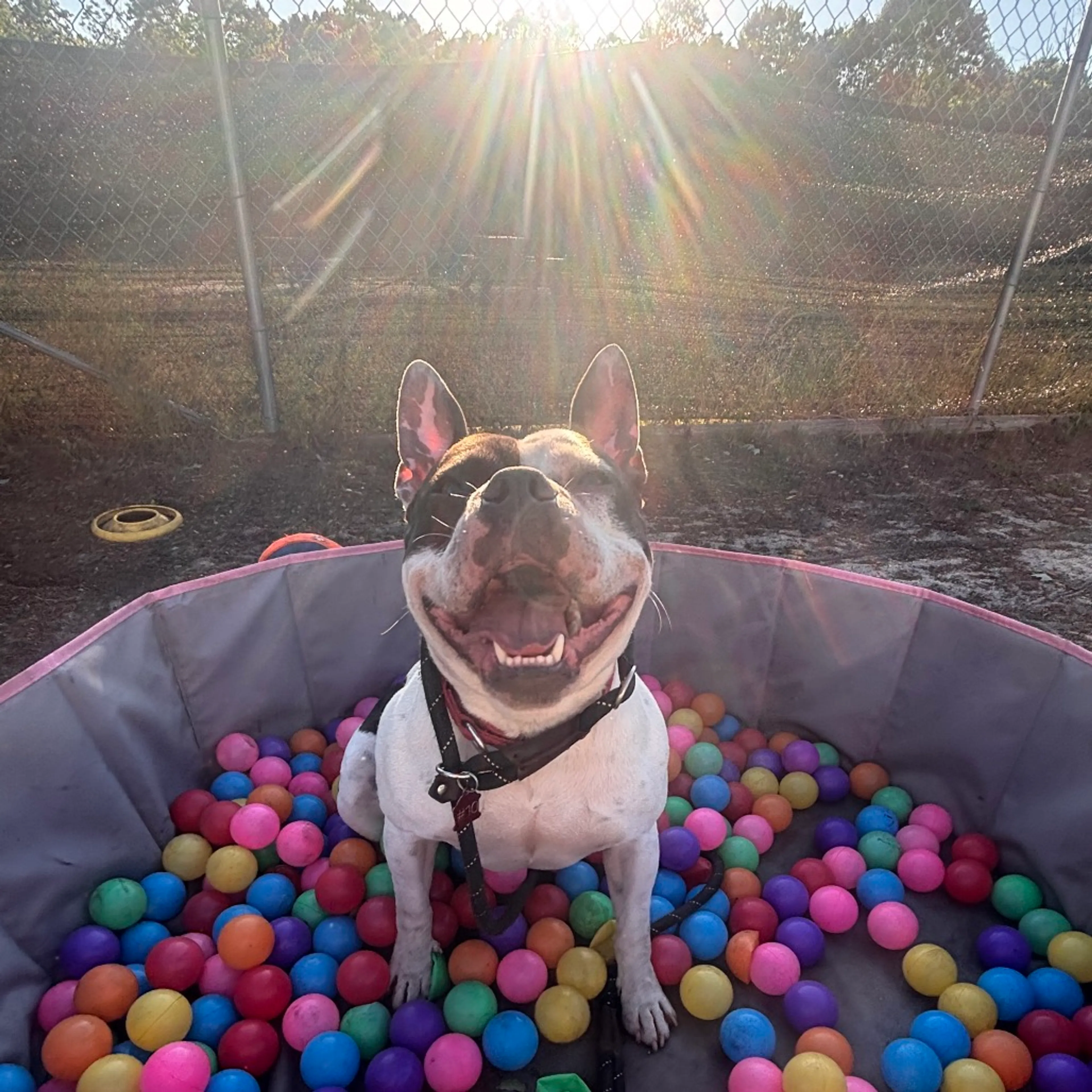 -5
