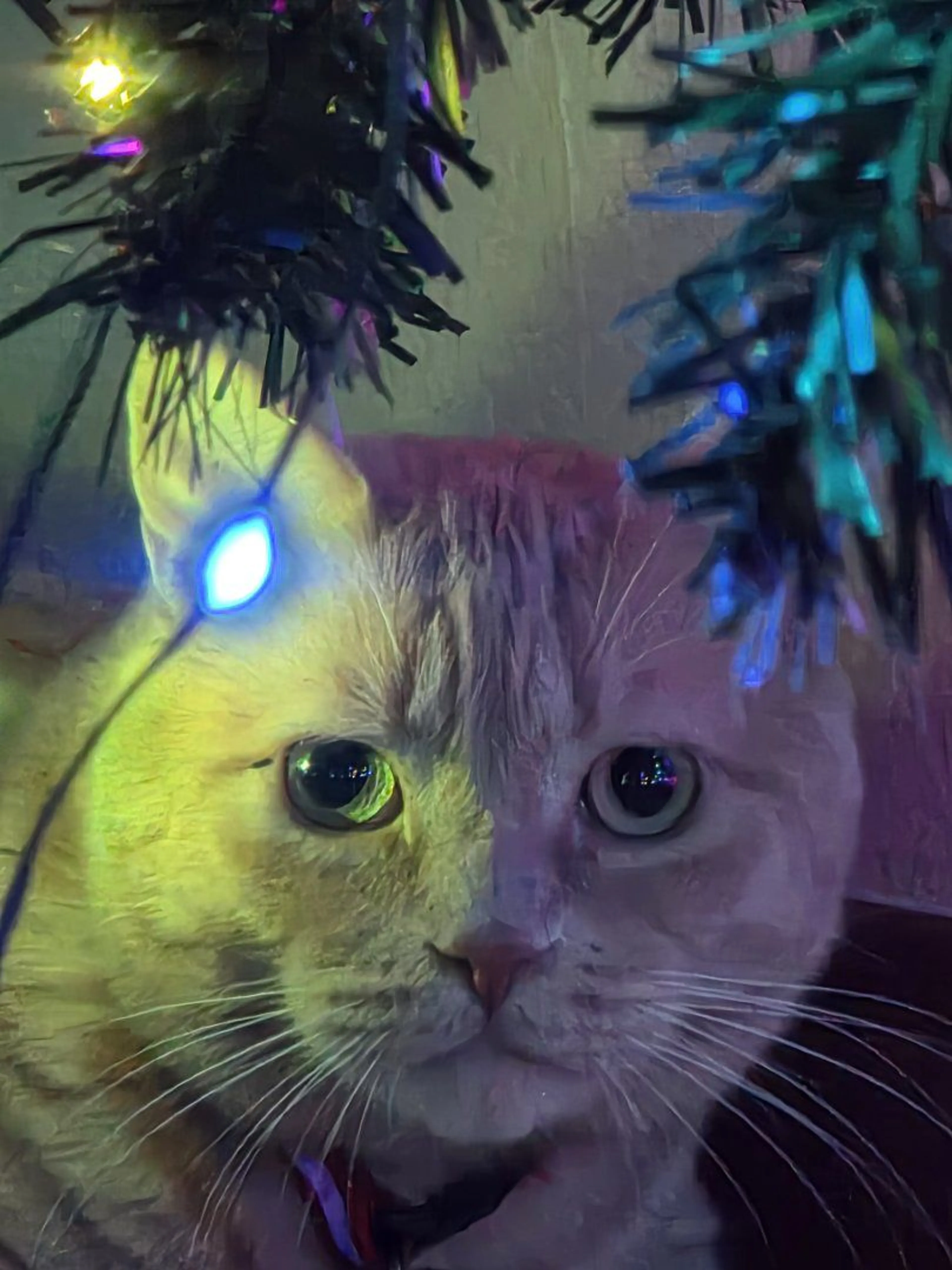 Lost pet-3