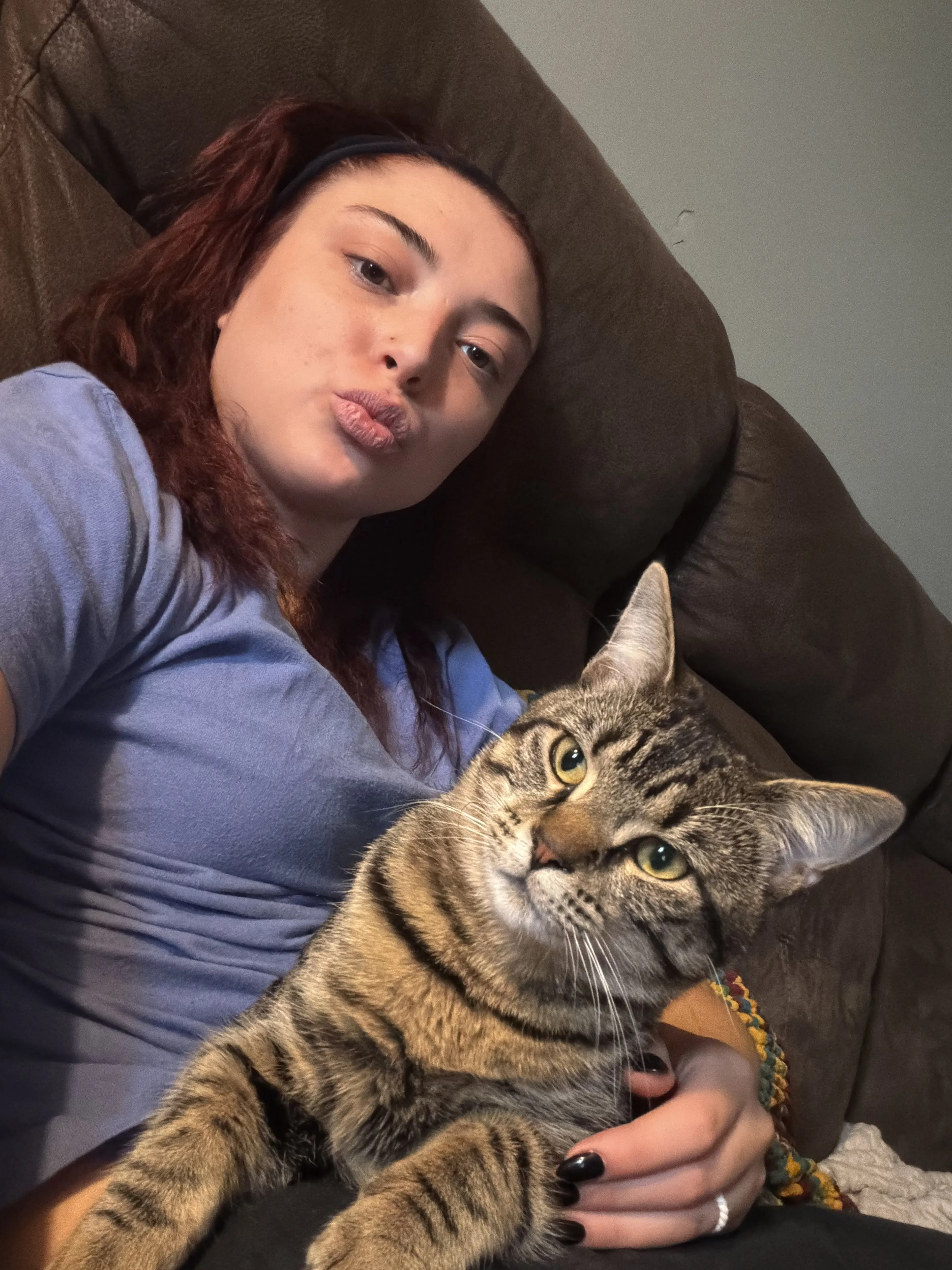 Lost pet-1