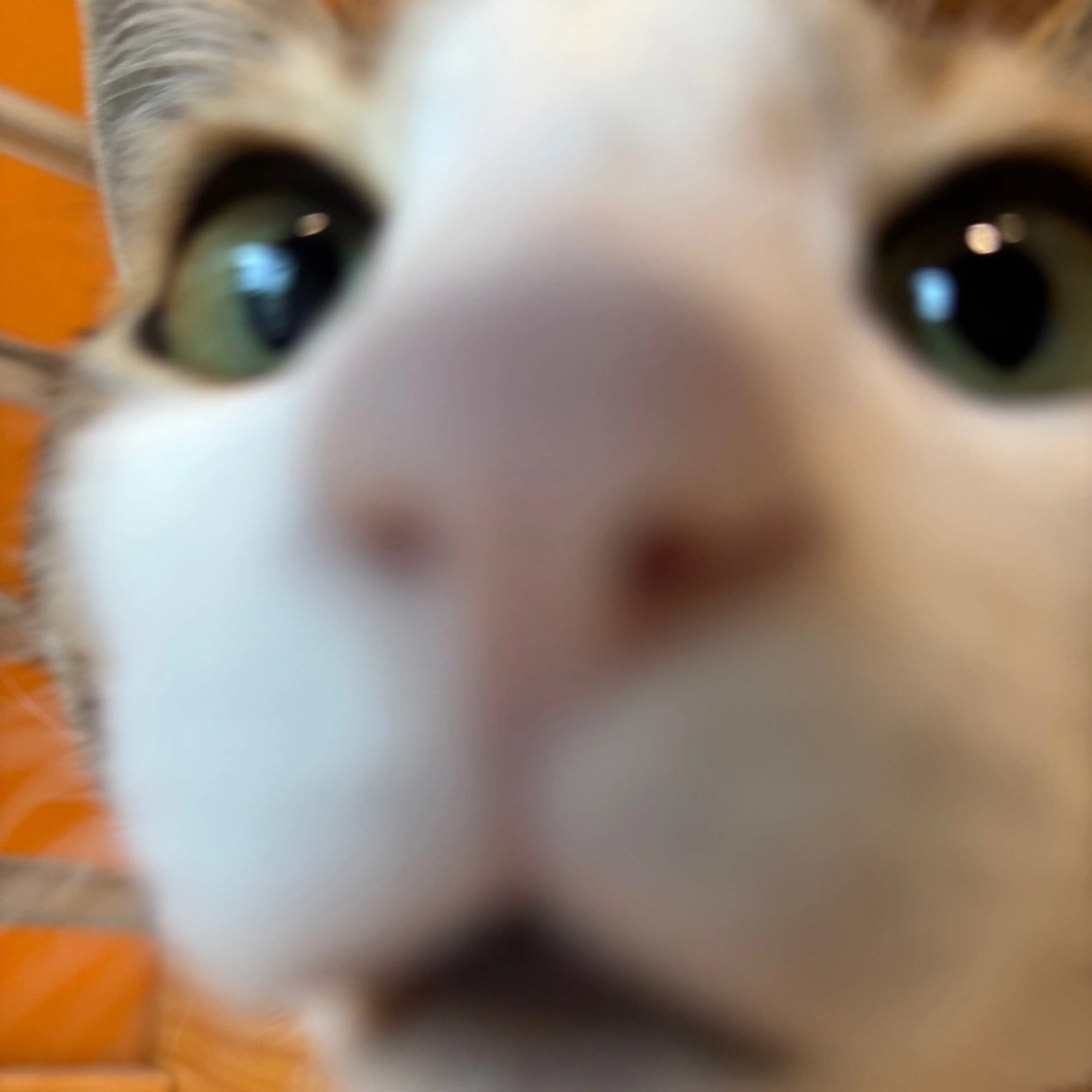 -7