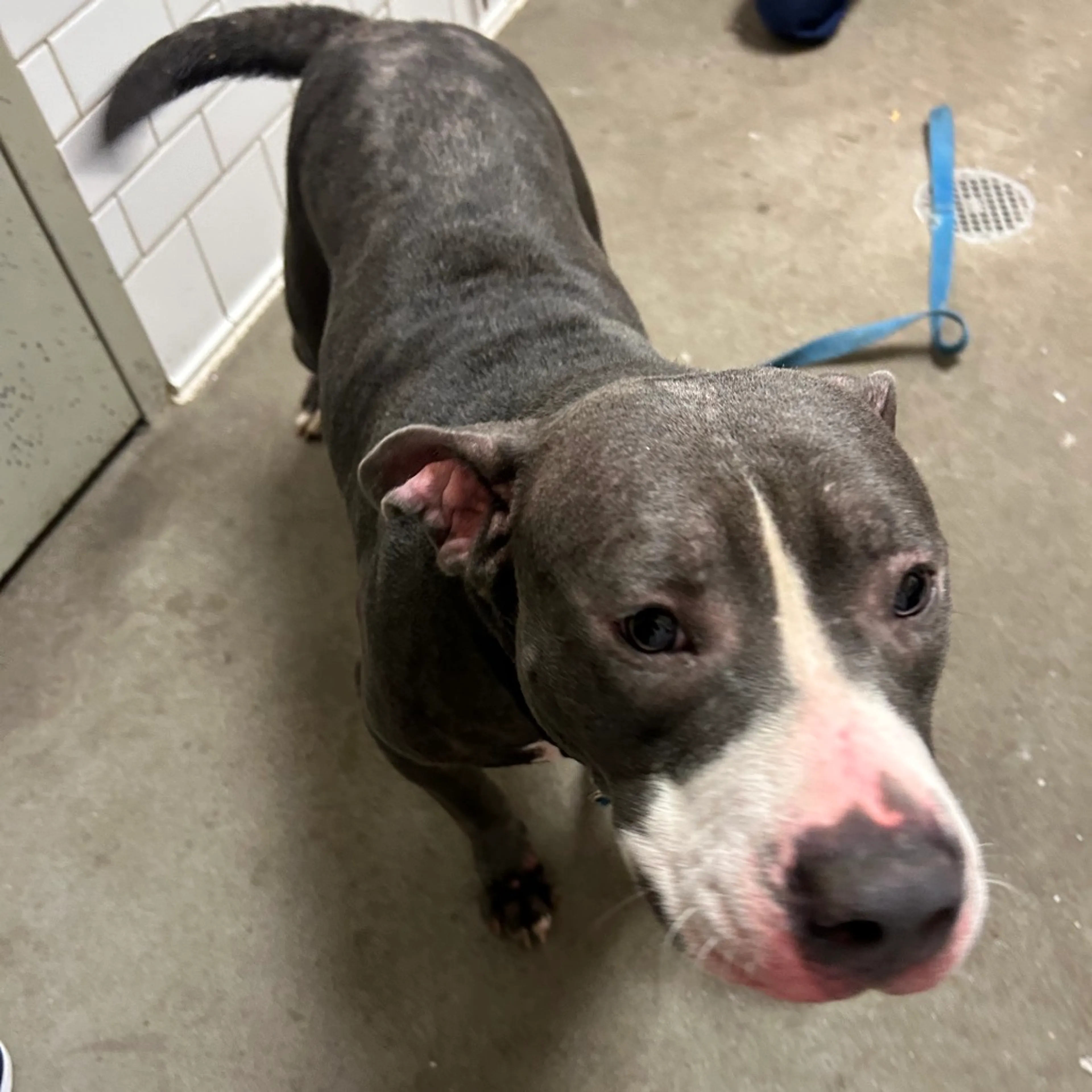 -1