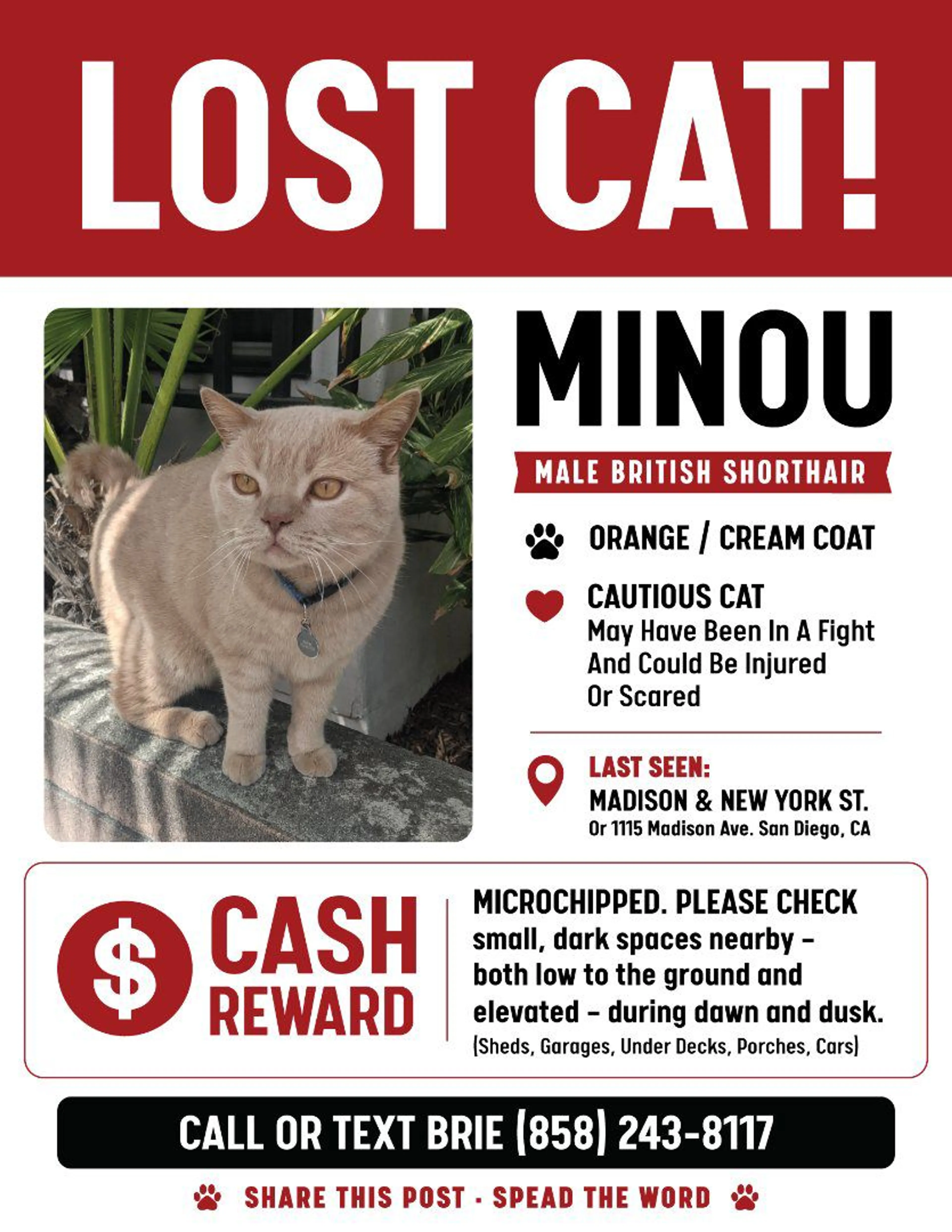 Lost pet
