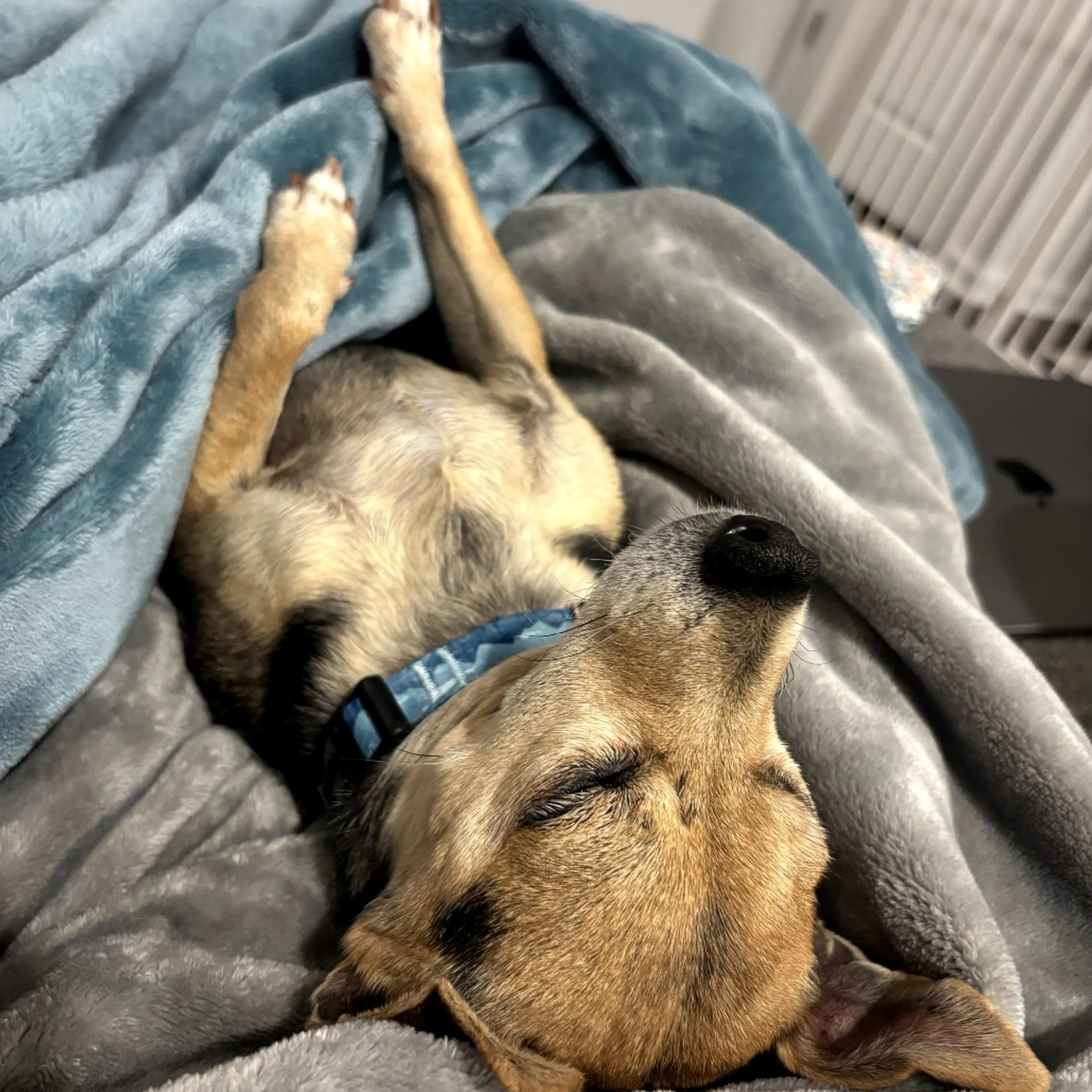 -2