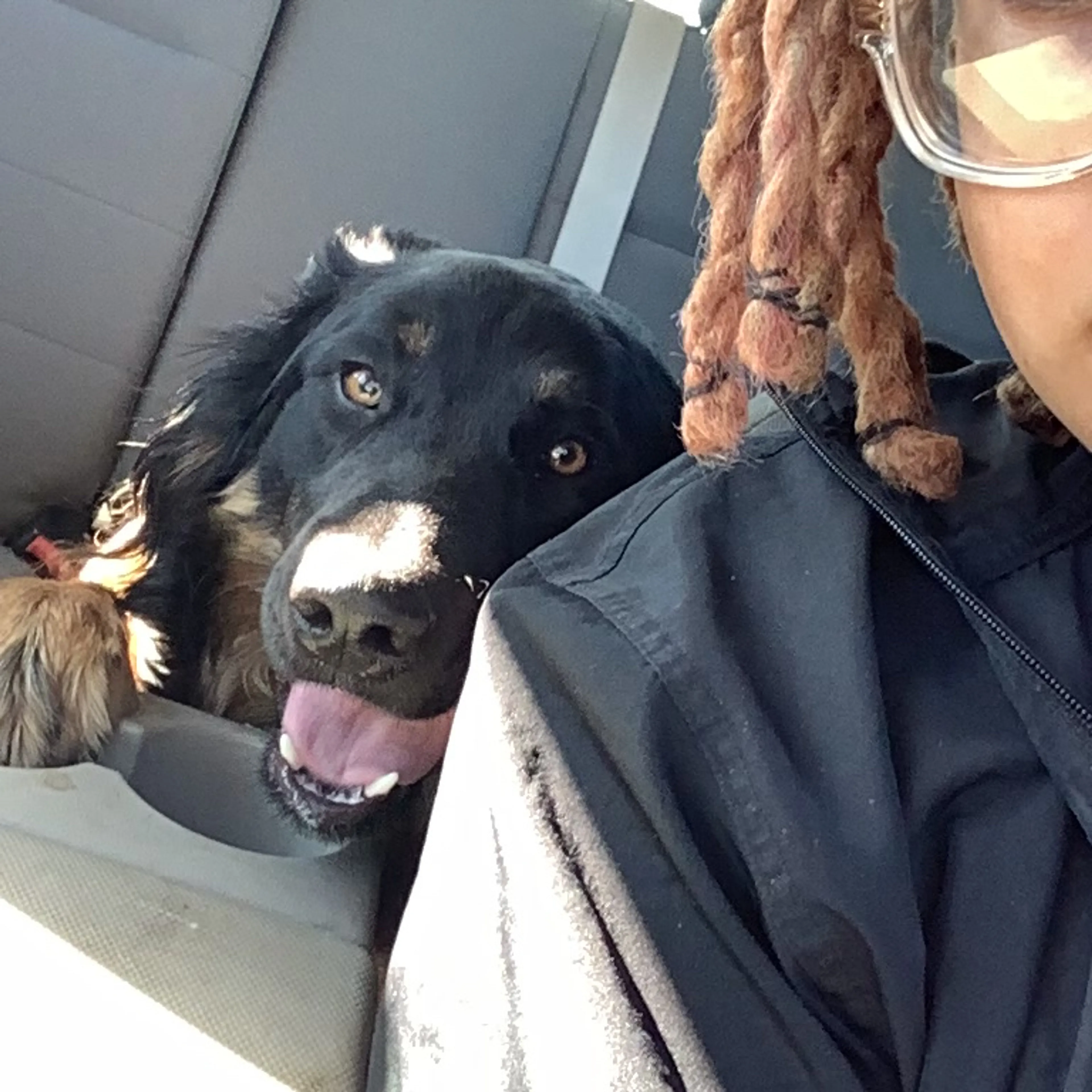 Found pet-1