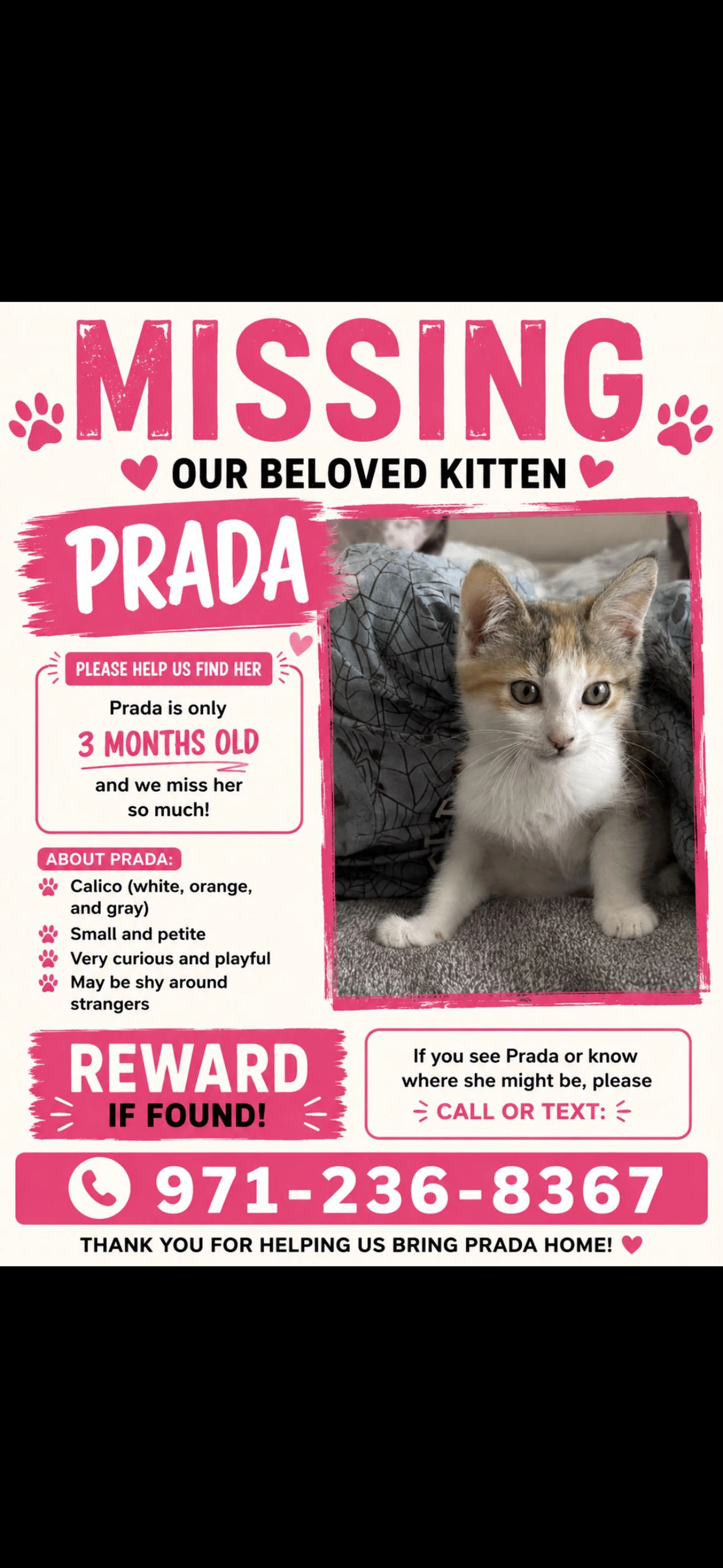 Lost pet