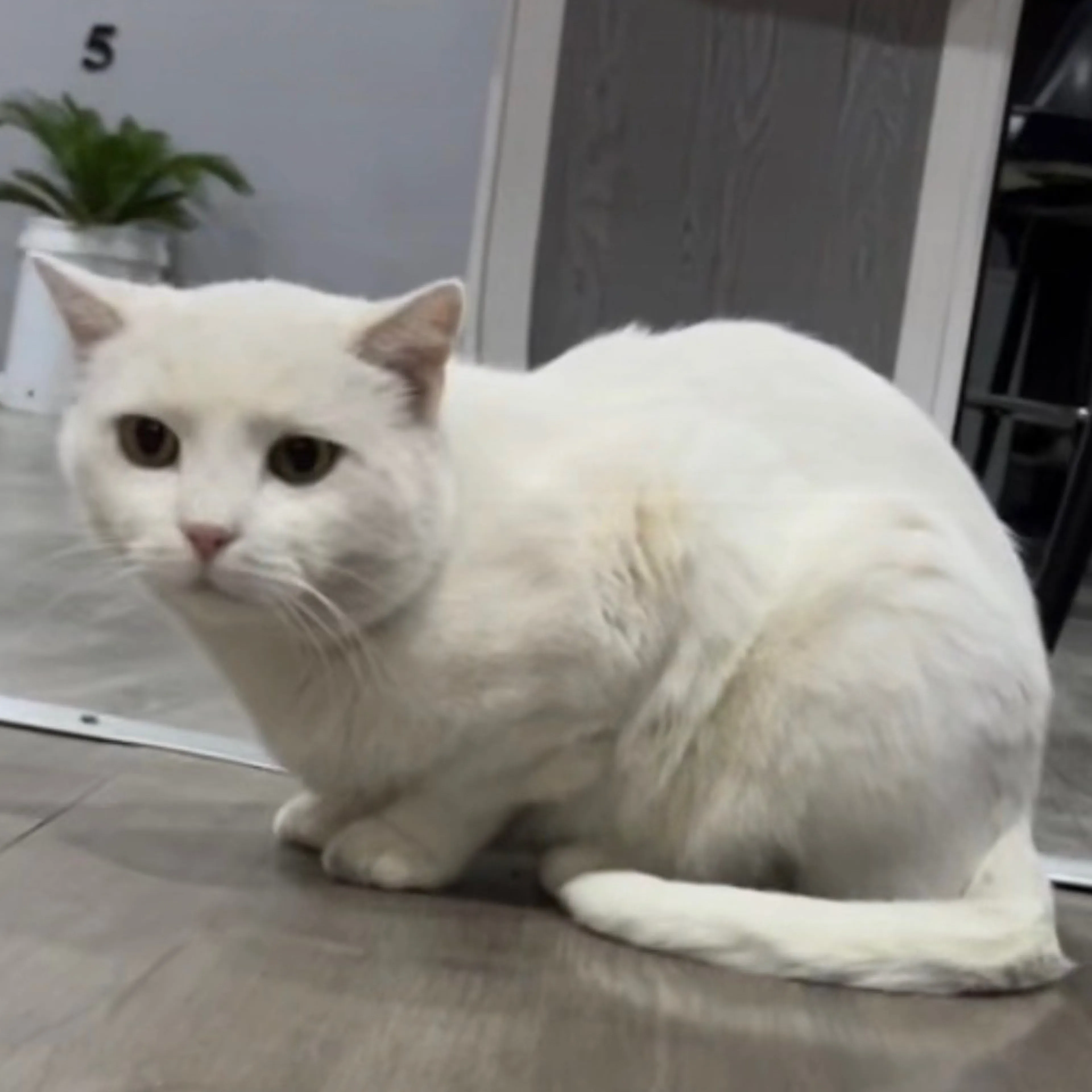-1