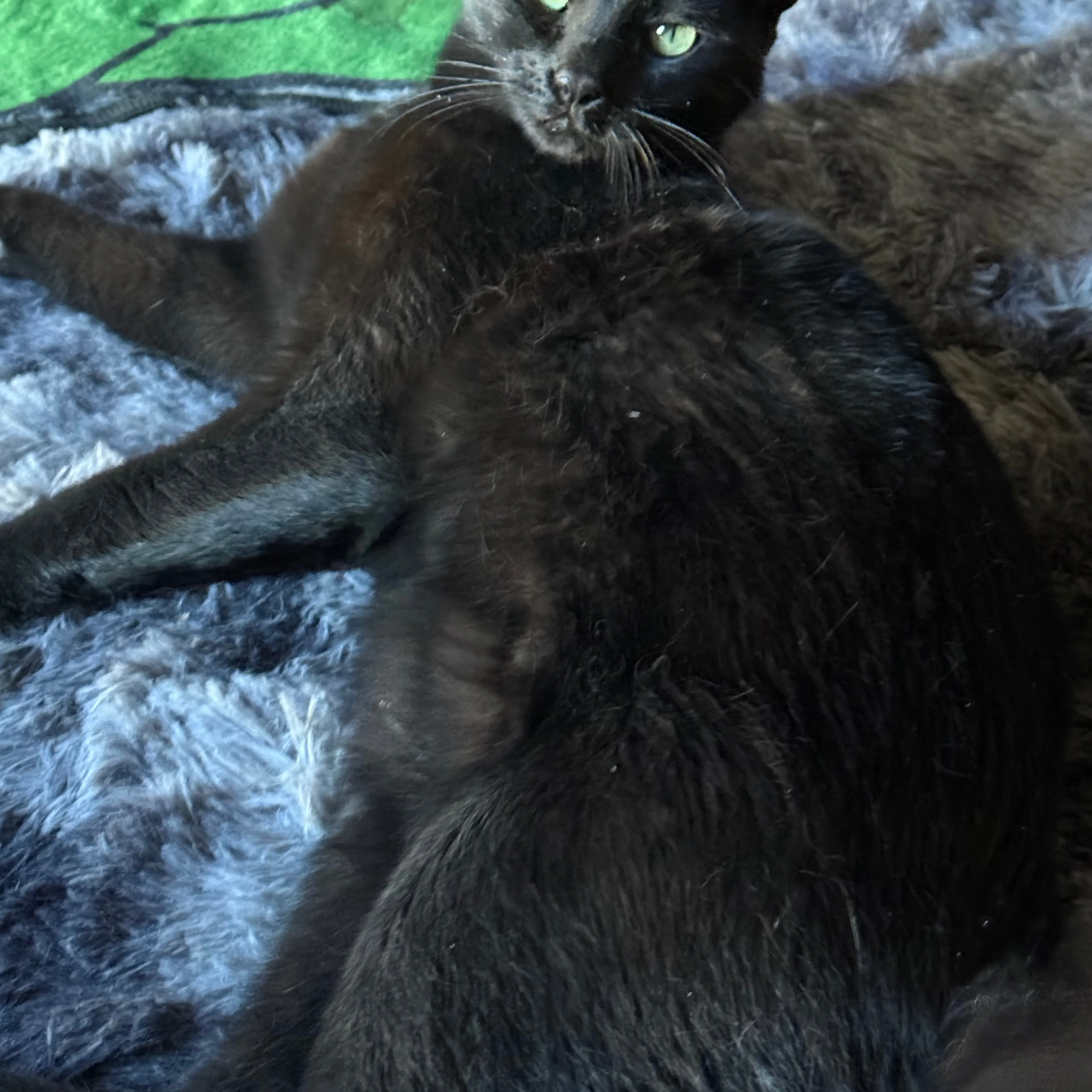 -1
