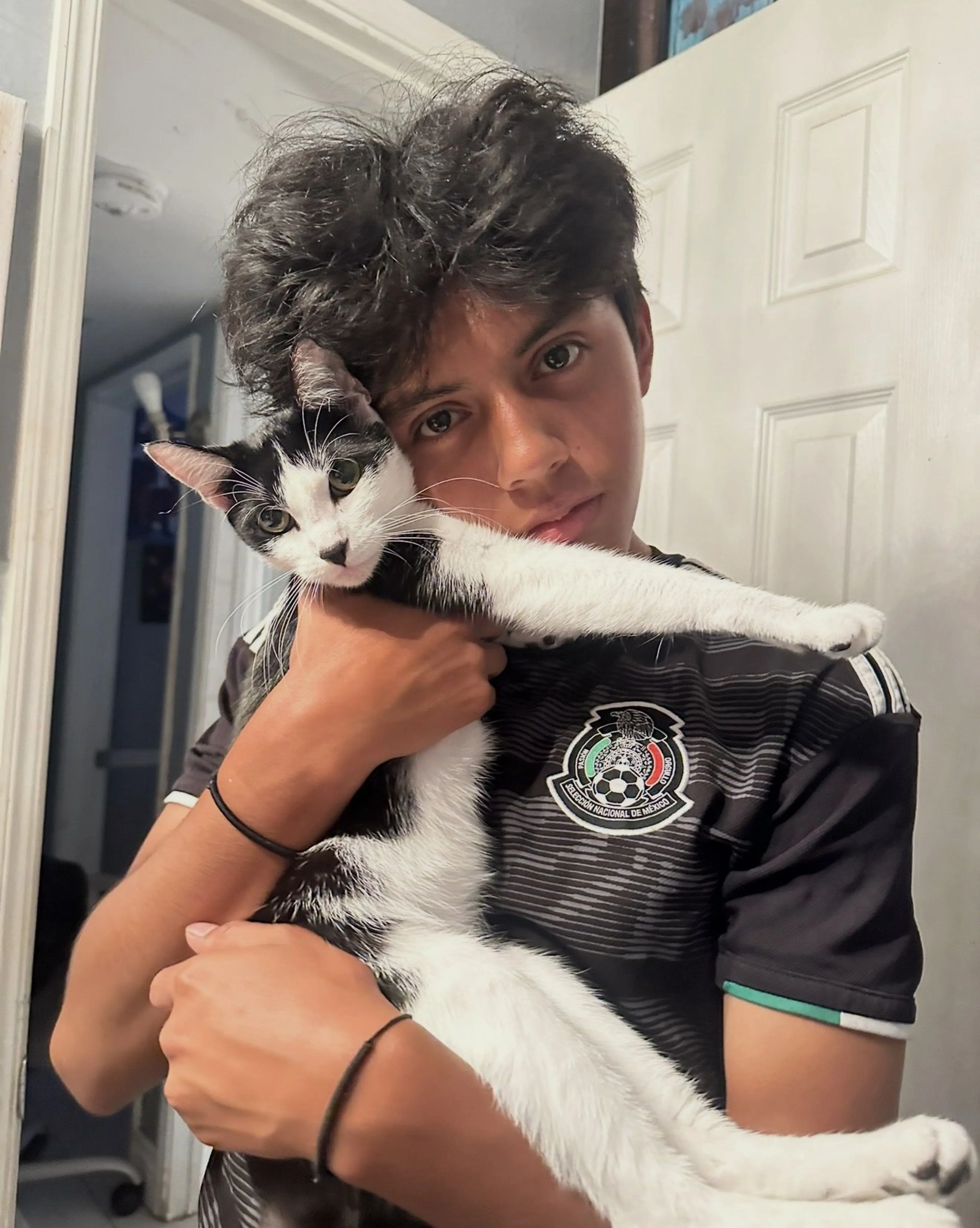 Lost pet-1