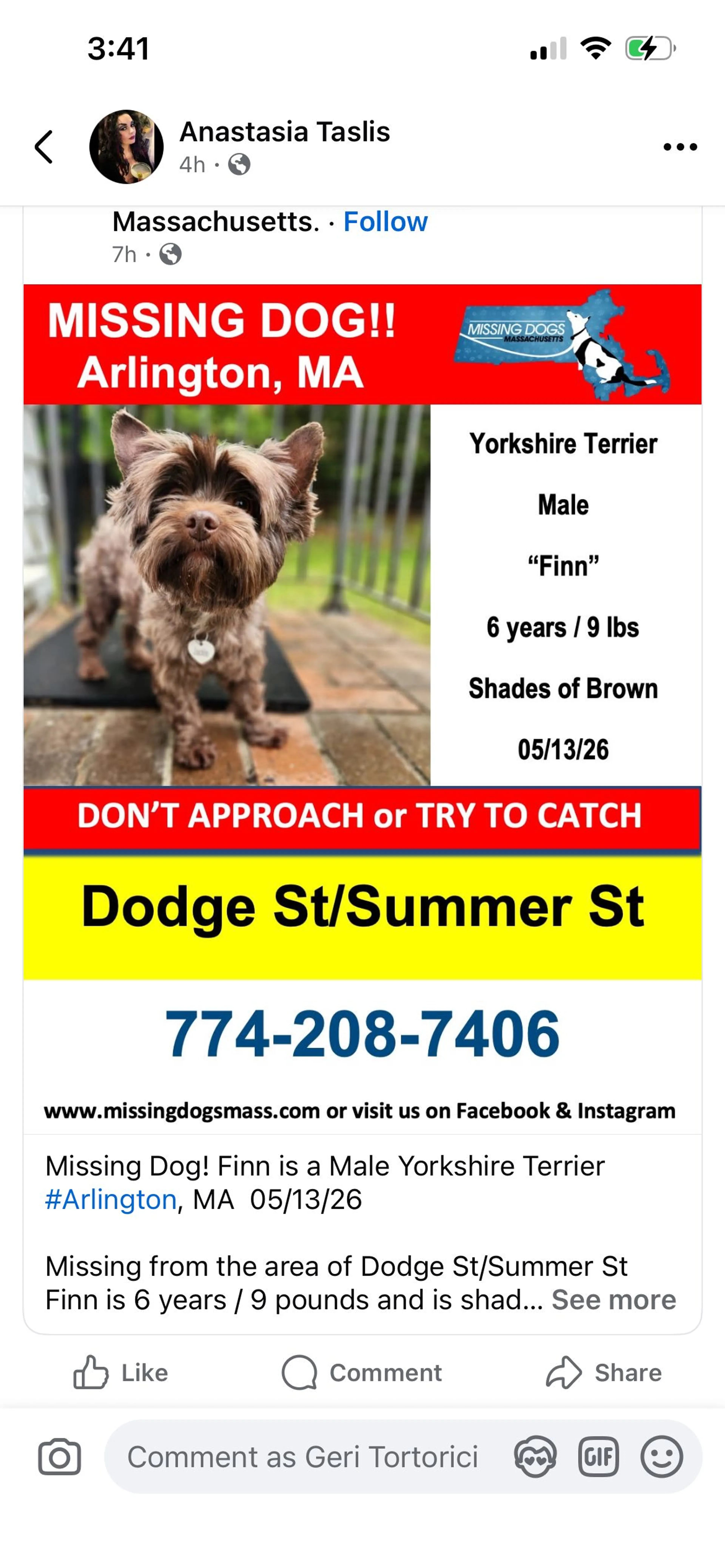 Lost pet