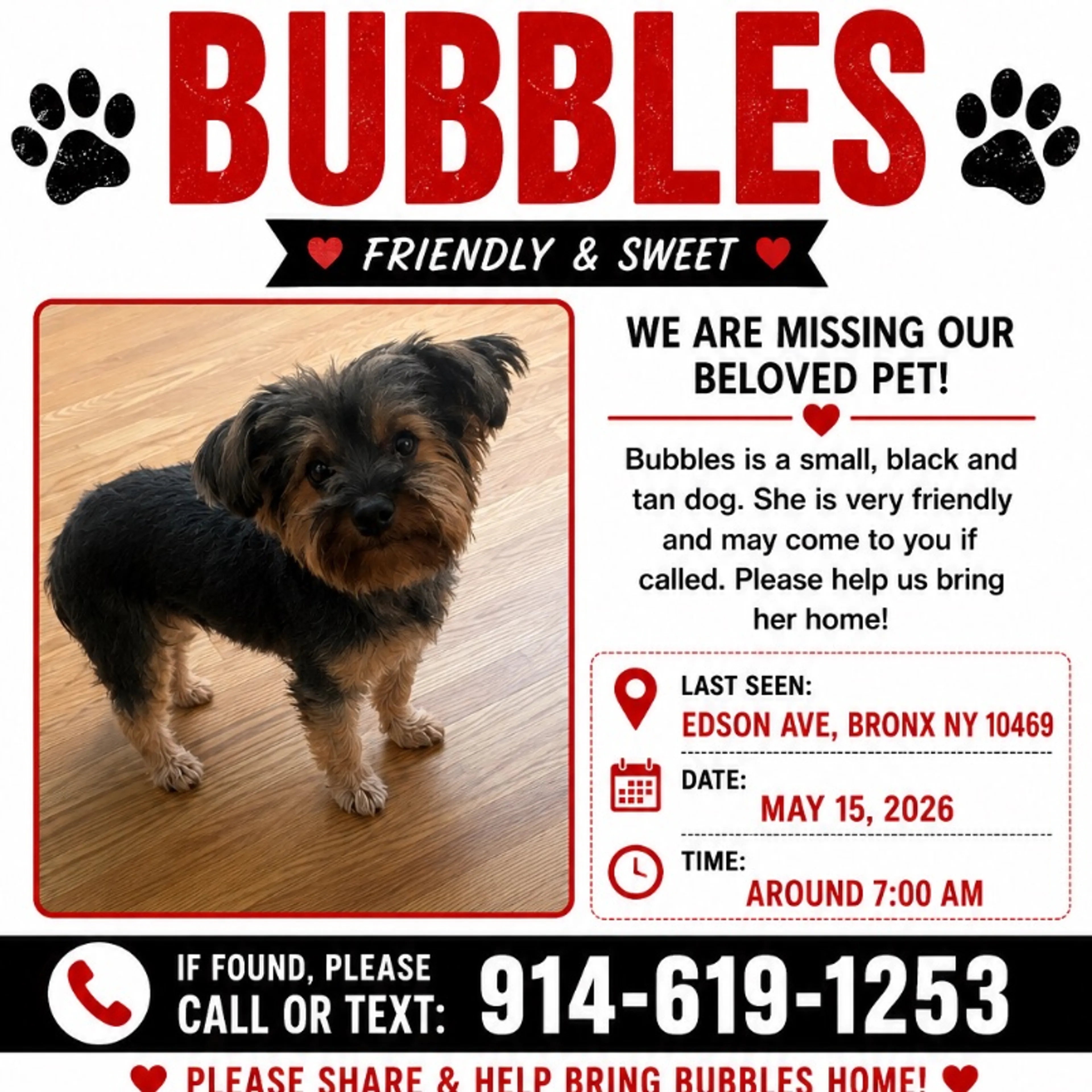 Lost pet-0