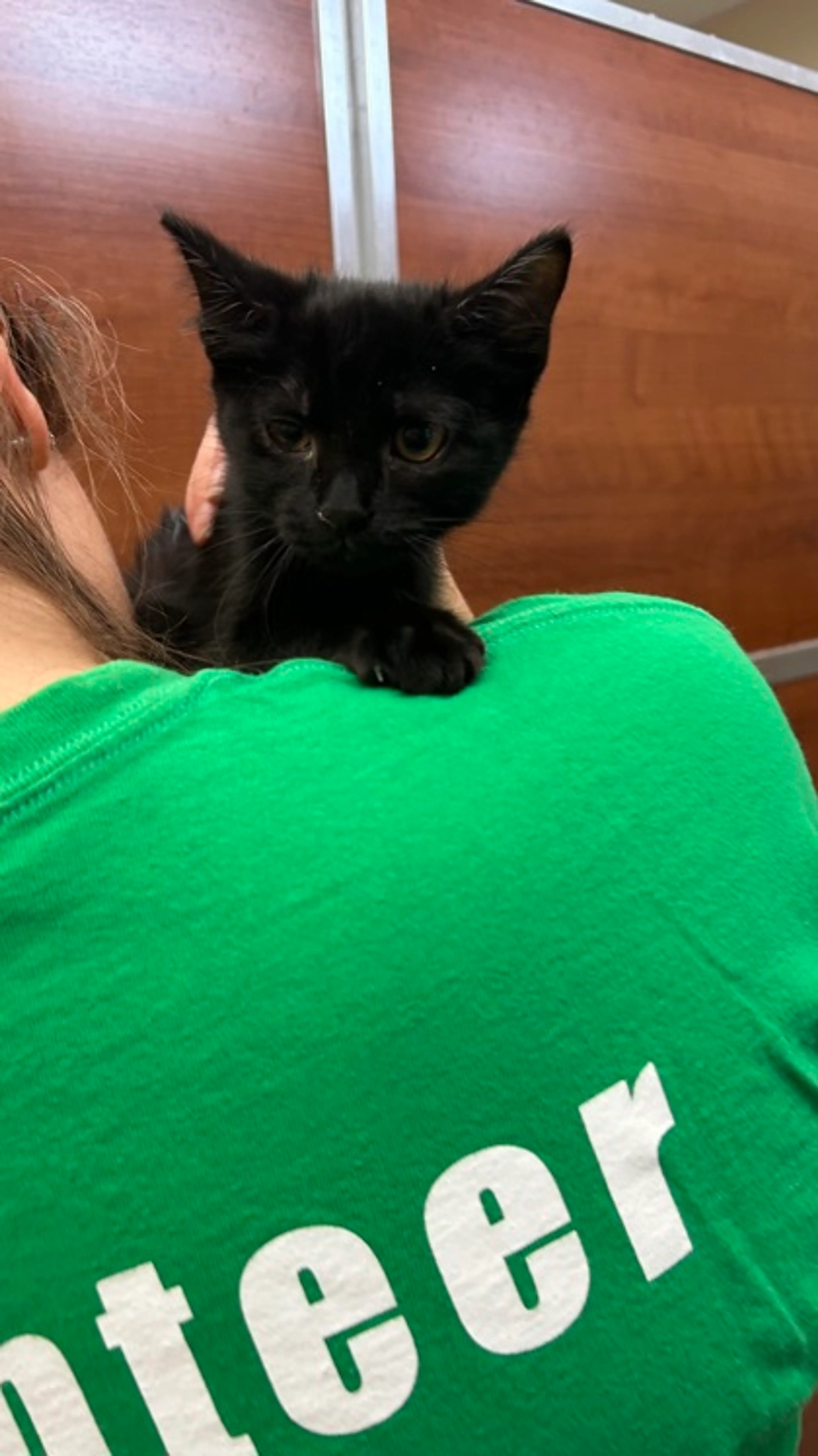 Found pet-2