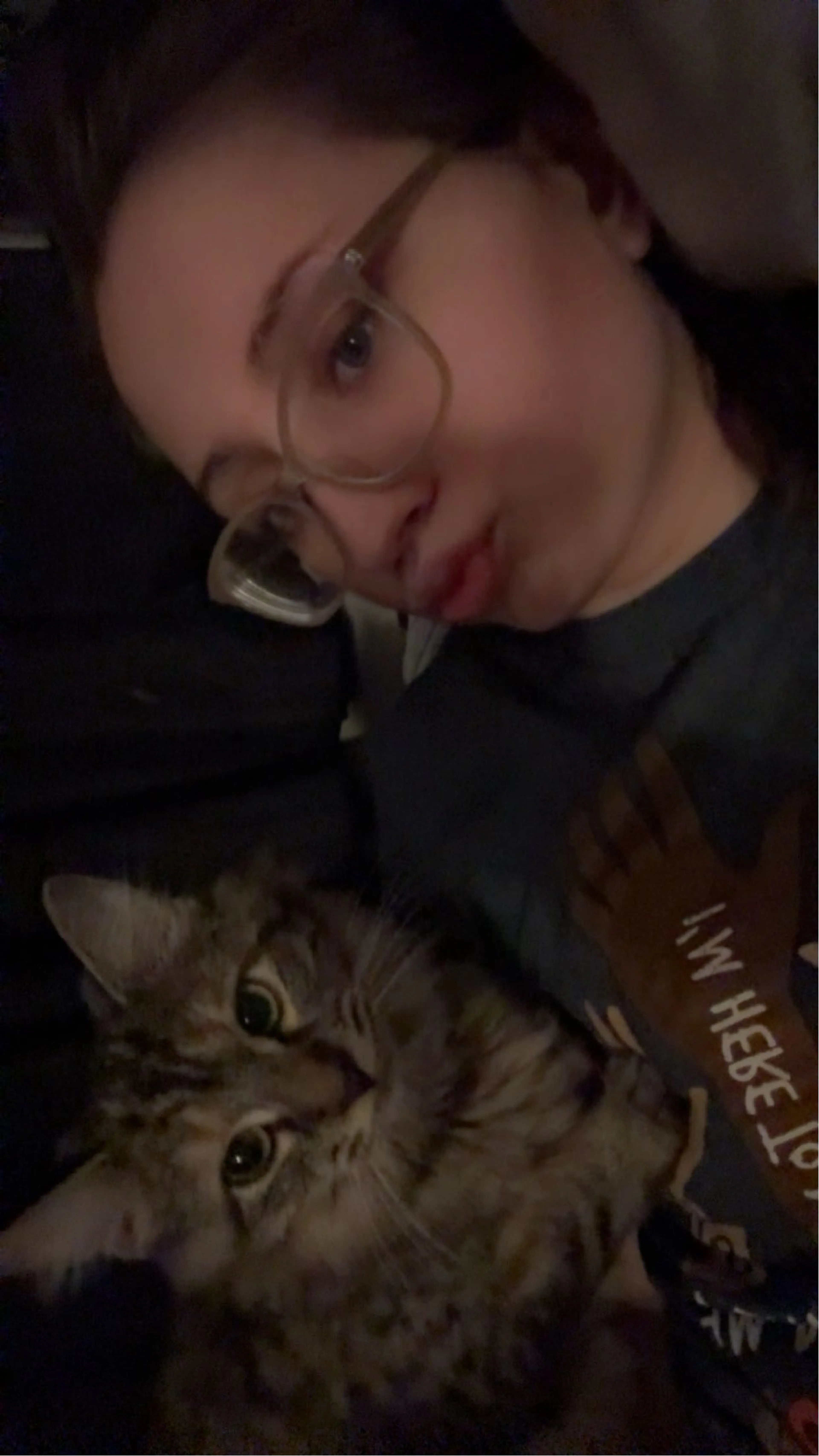 Lost pet-0