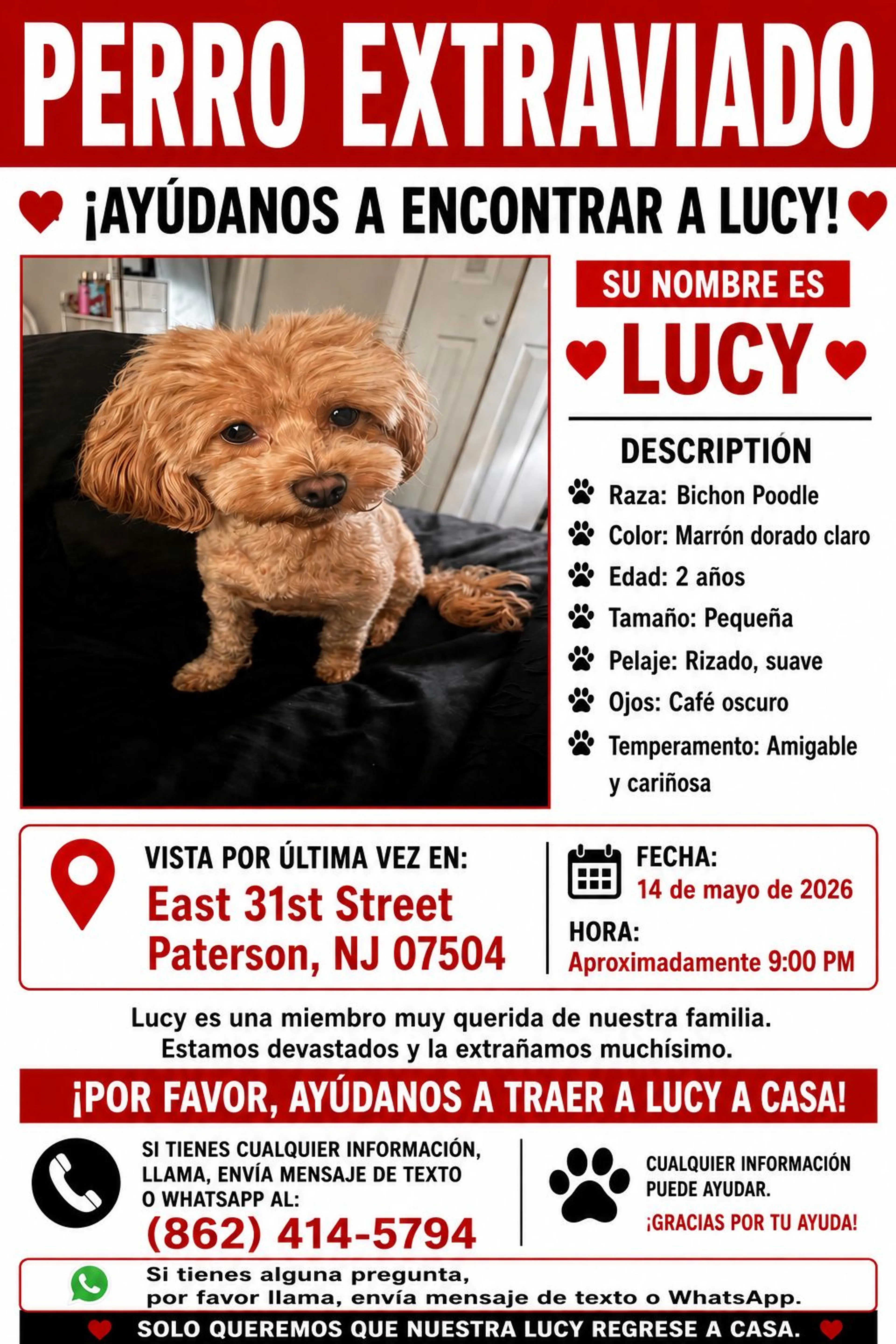 Lost pet-0
