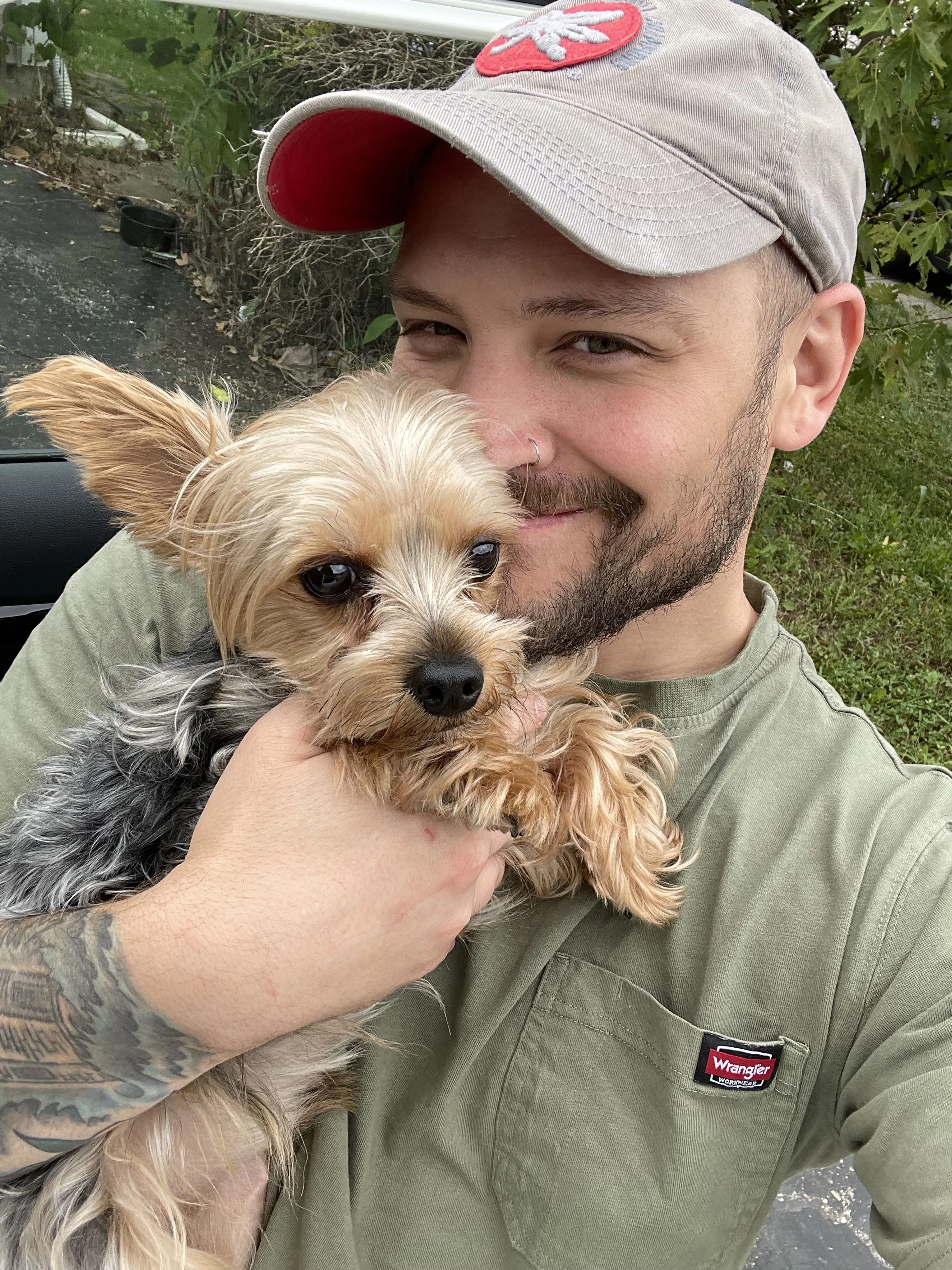 Lost pet-0