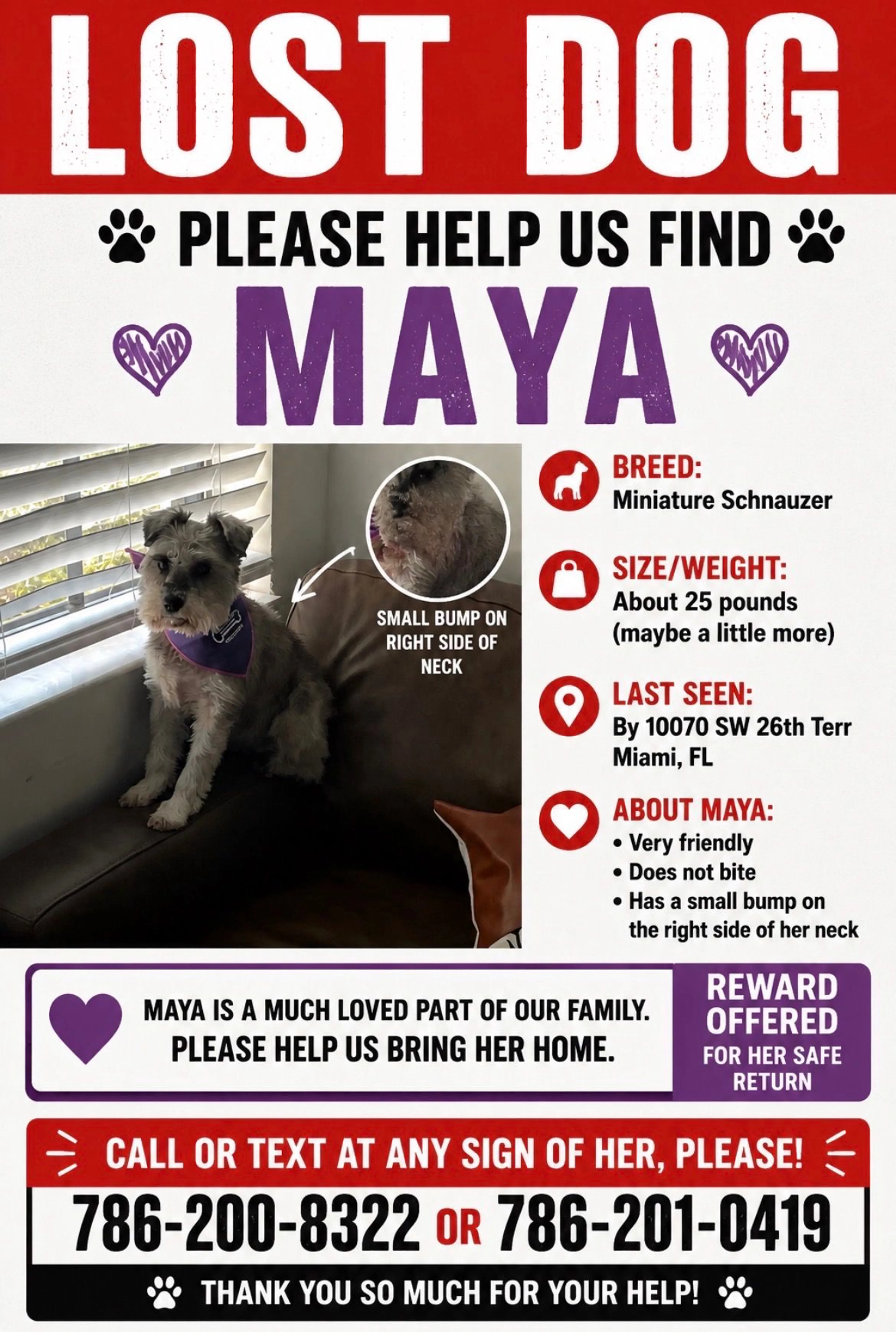 Lost pet