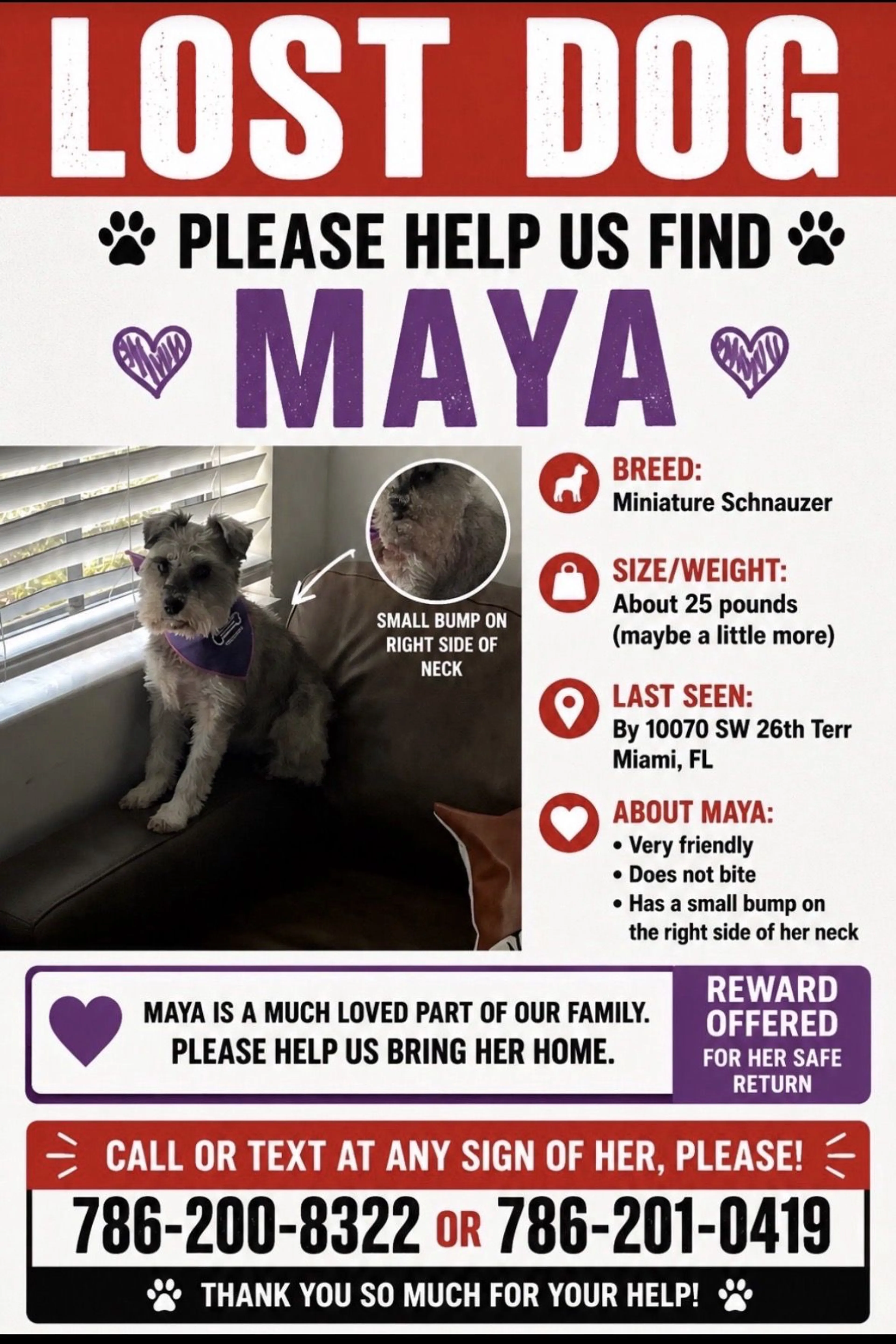 Lost pet