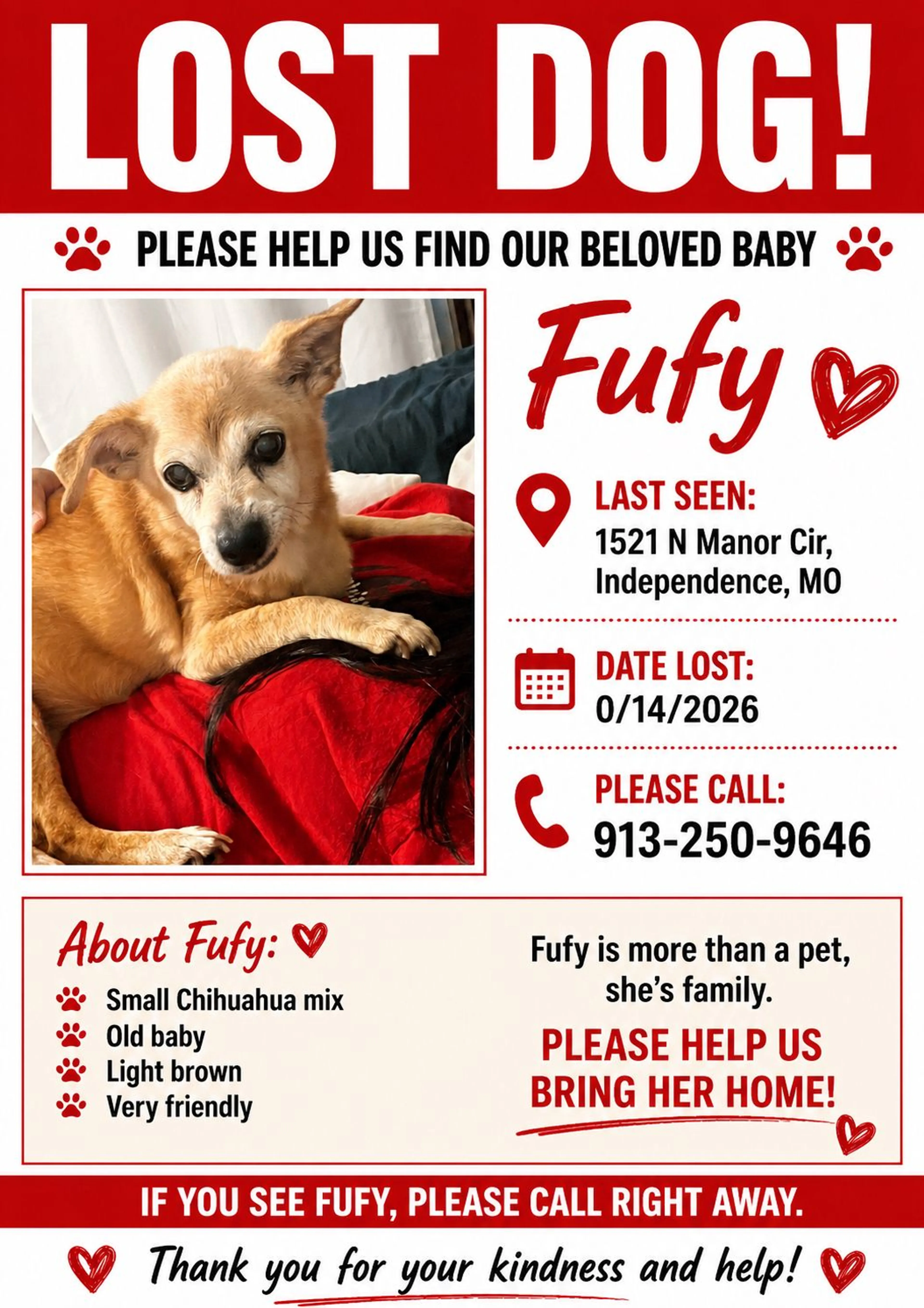 Lost pet-2