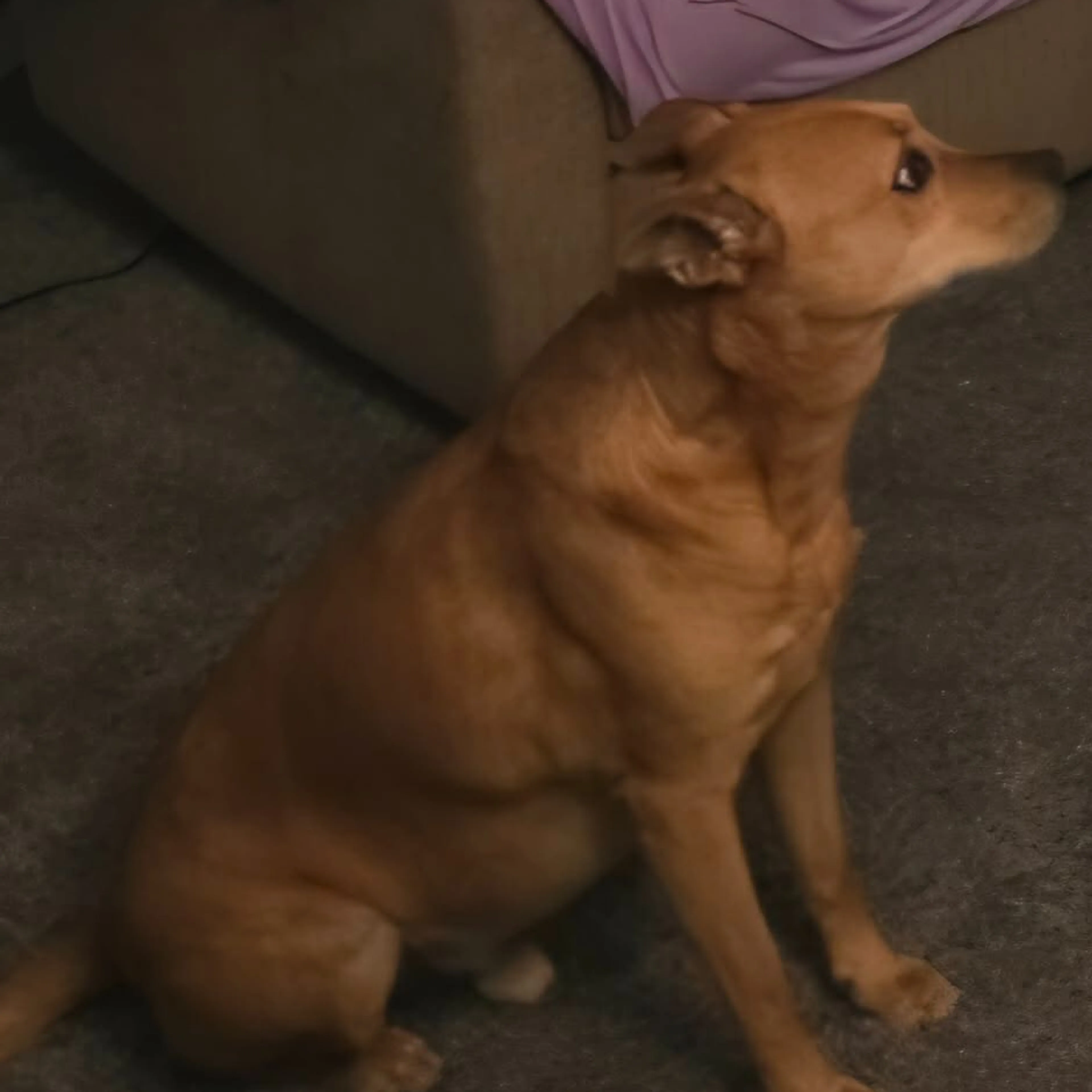 -3