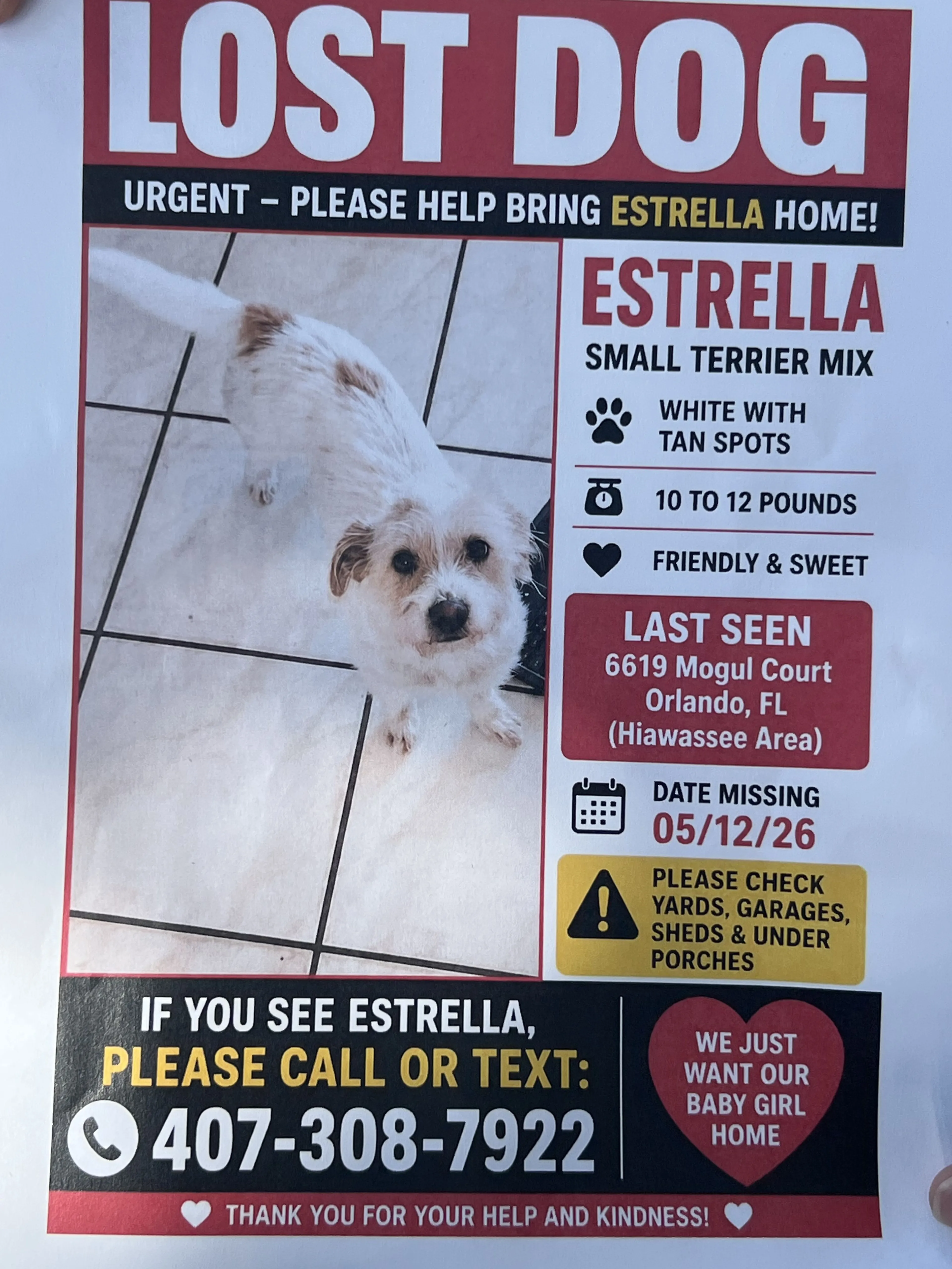 Lost pet