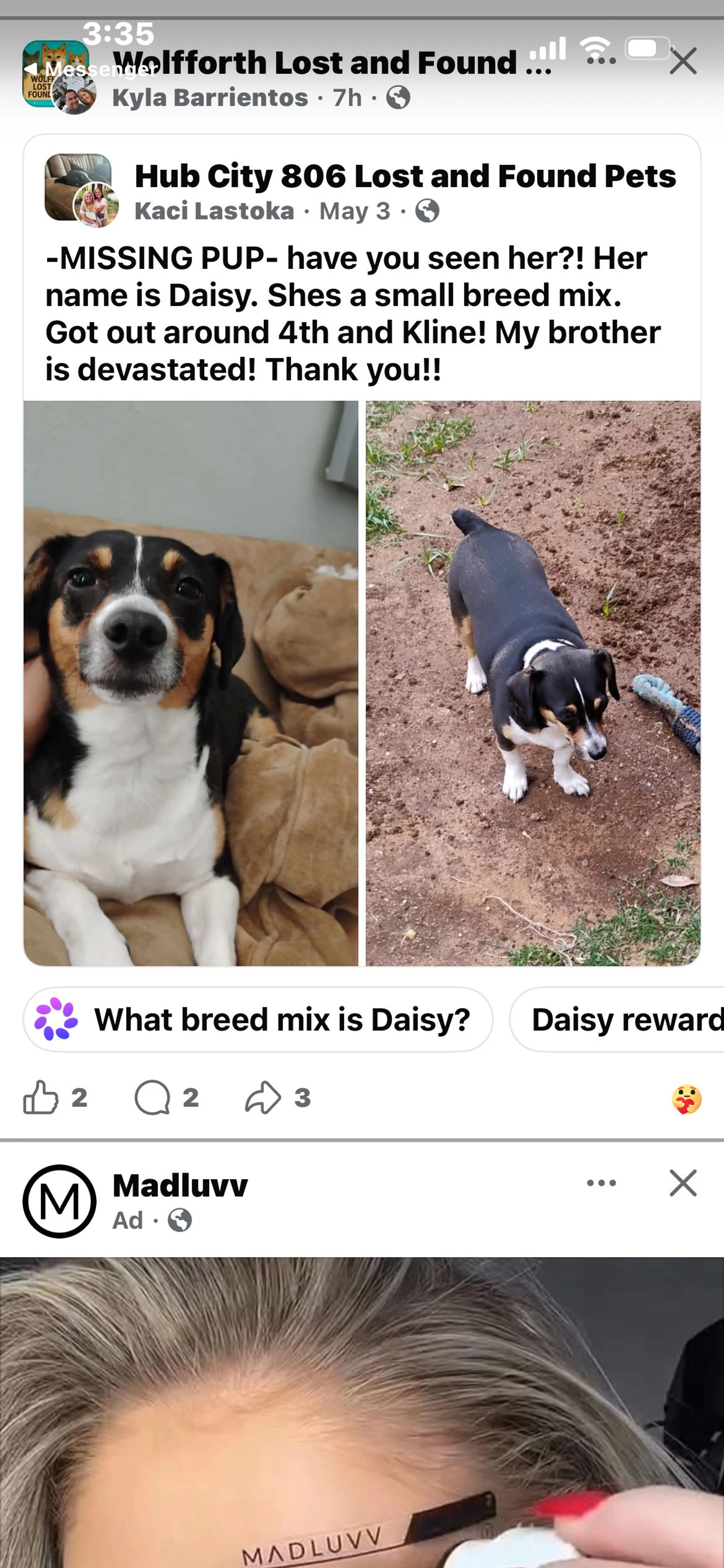 Lost pet