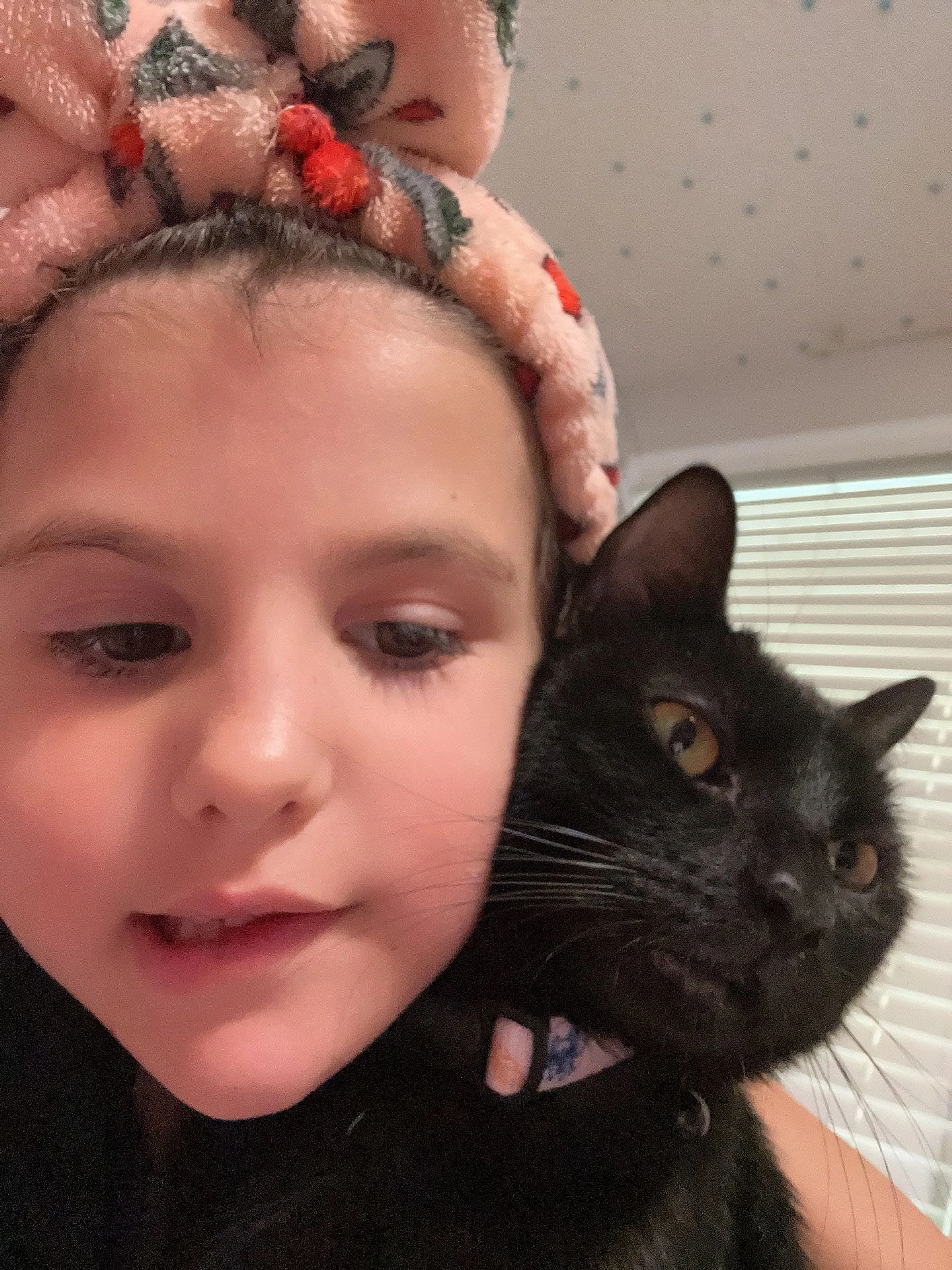 Lost pet-3