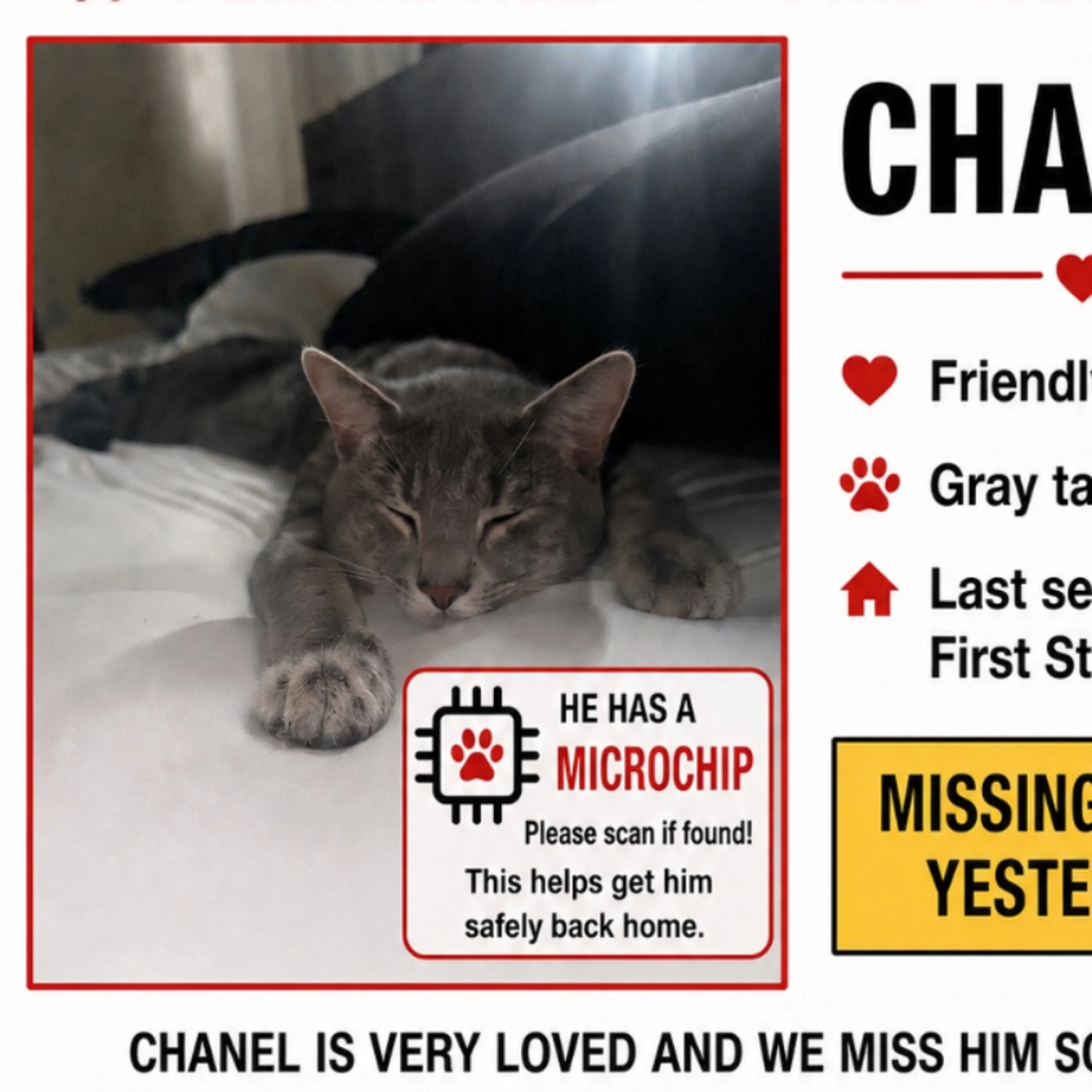 Lost pet