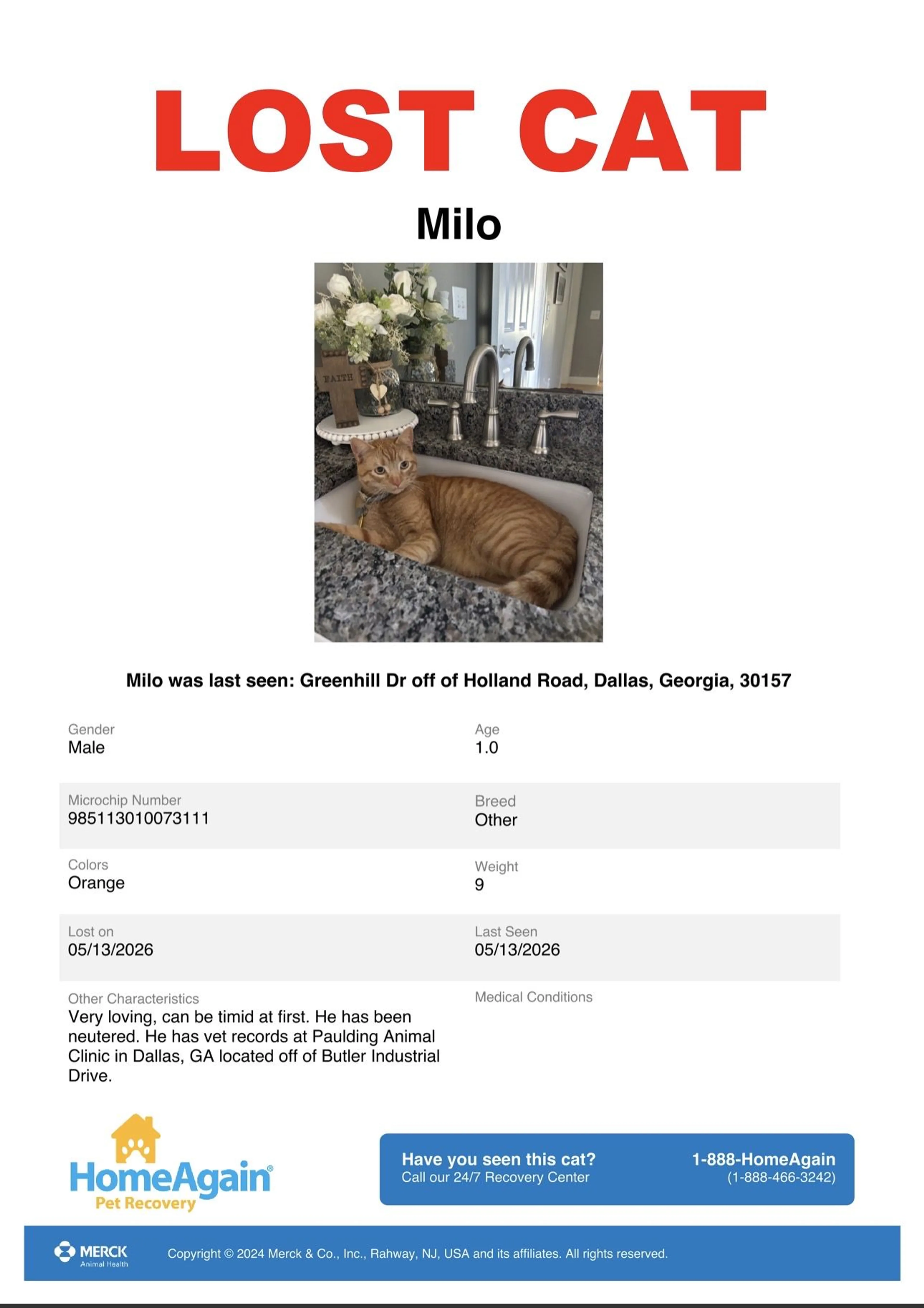 Lost pet-0