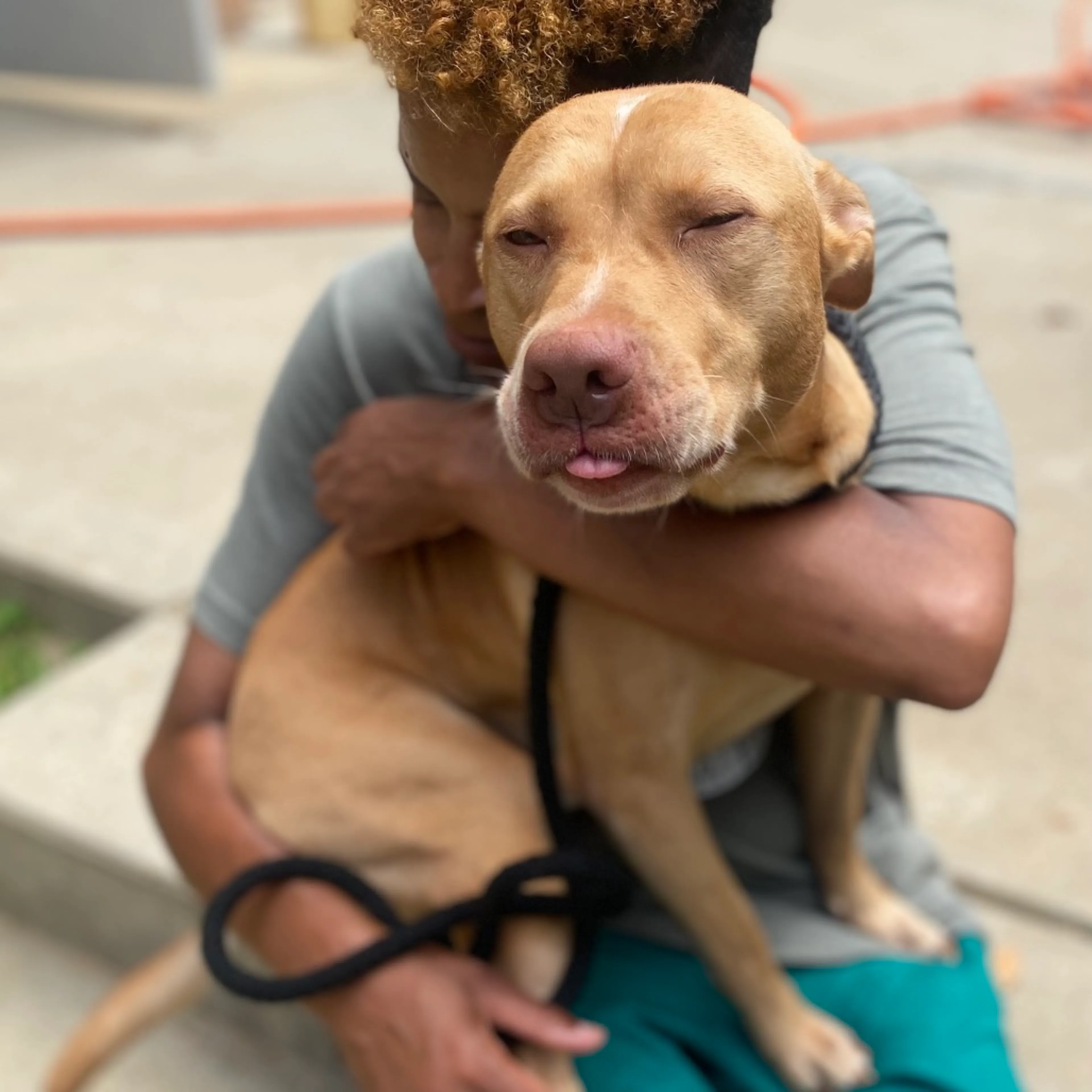 -4