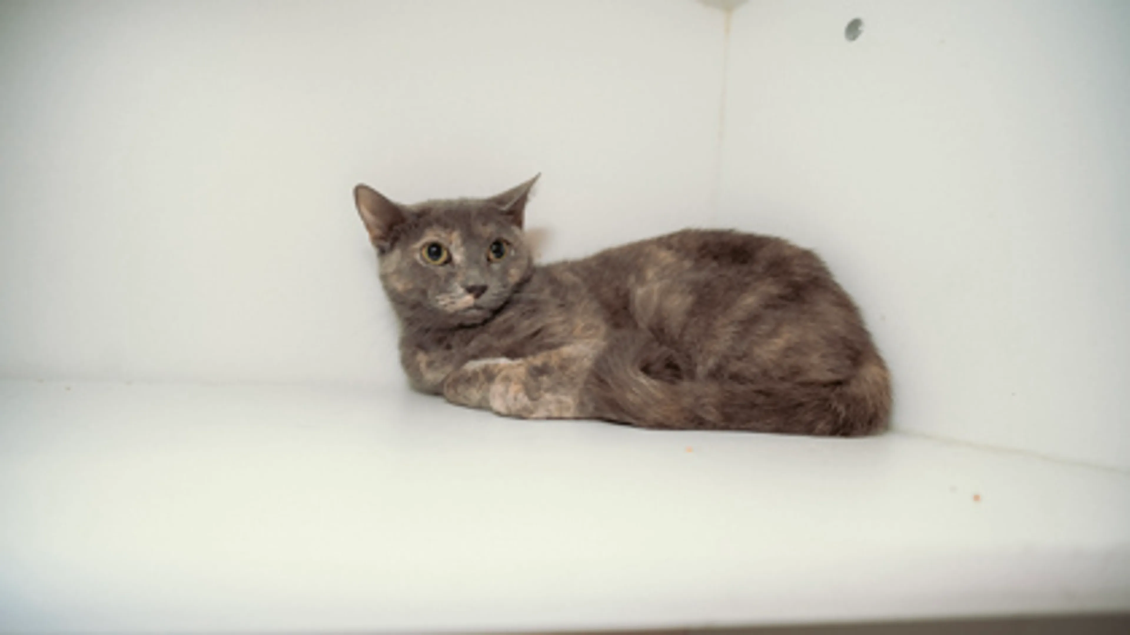 -1