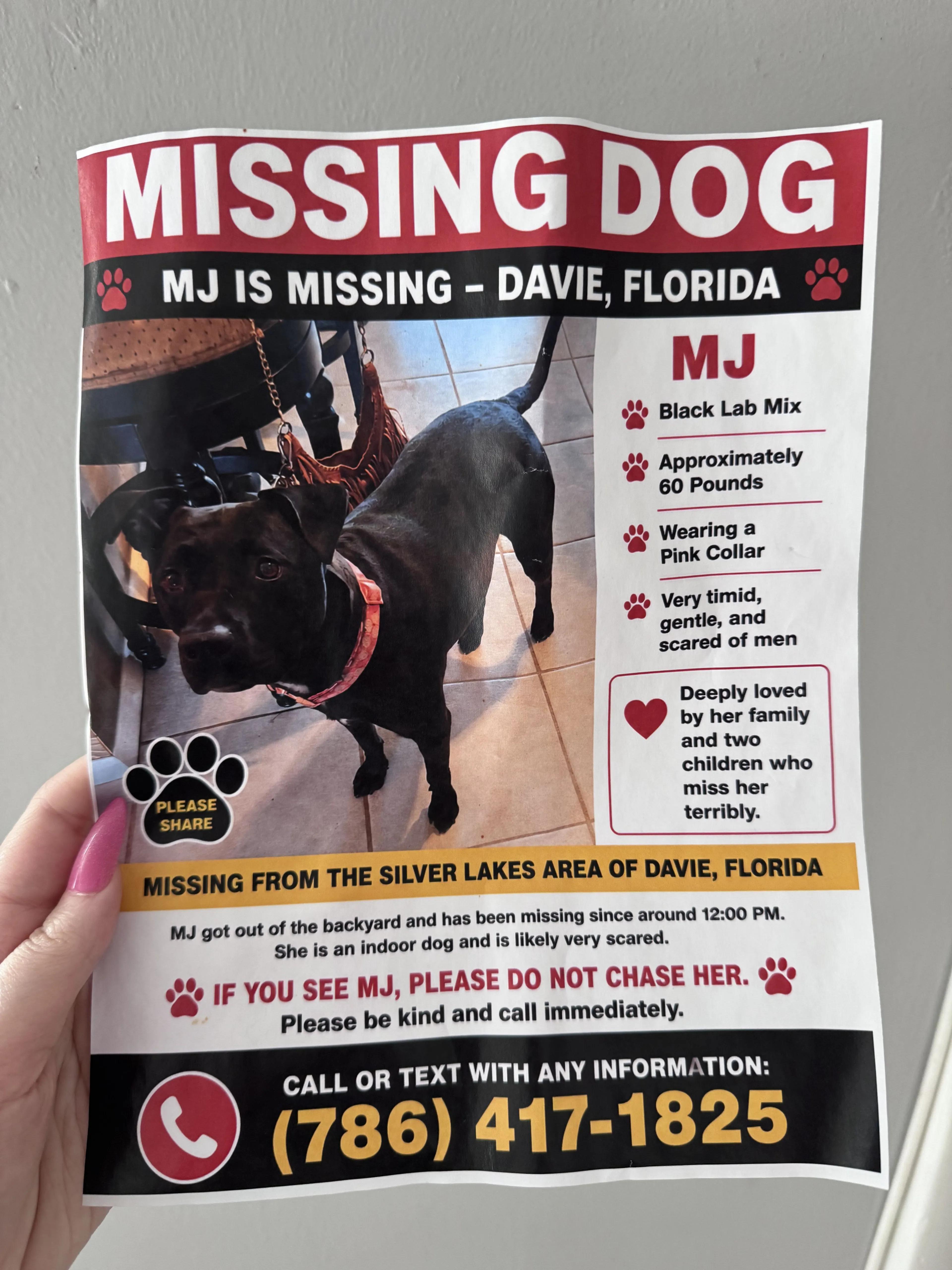 Lost pet