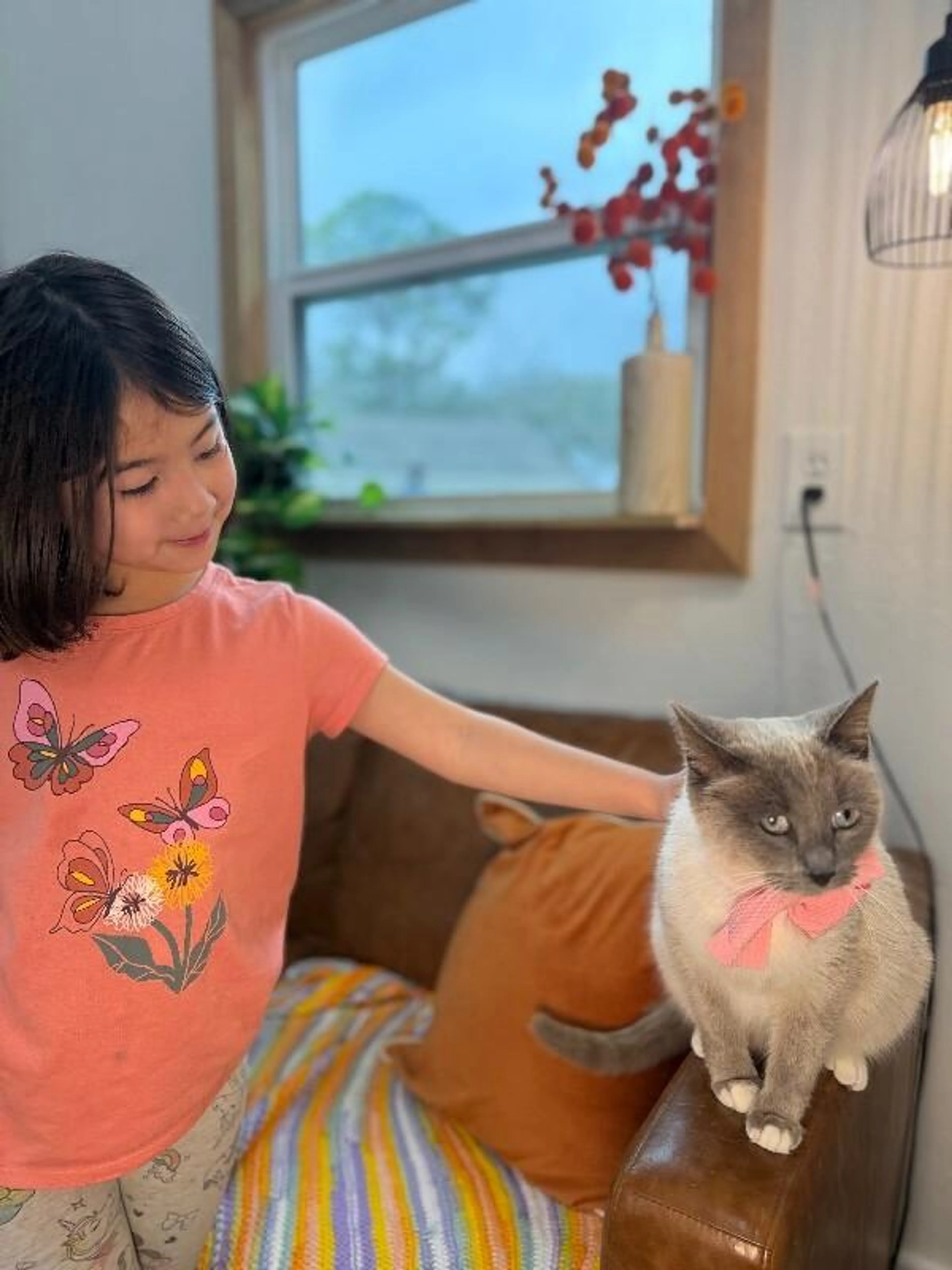 Found pet-2