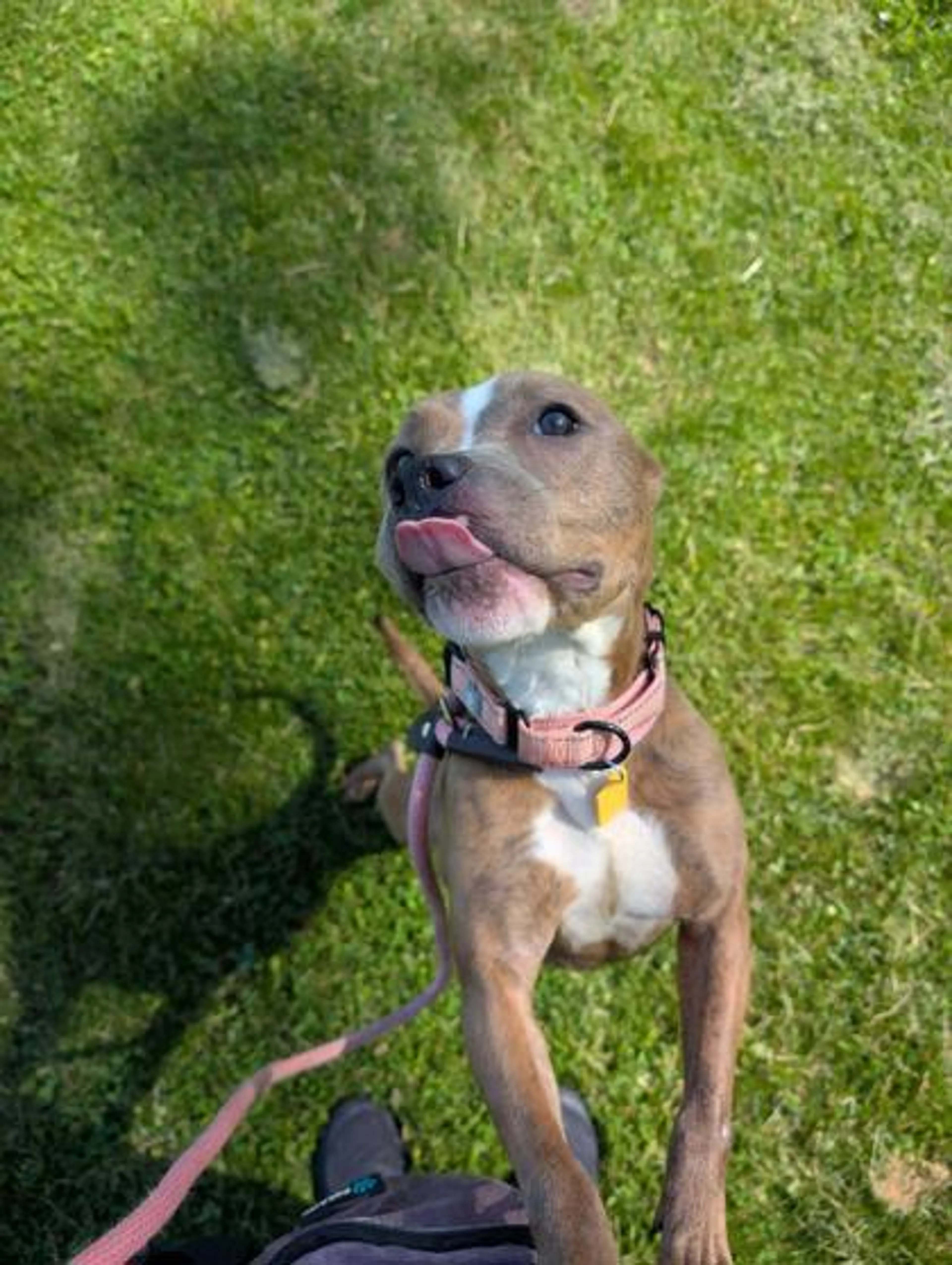 -2
