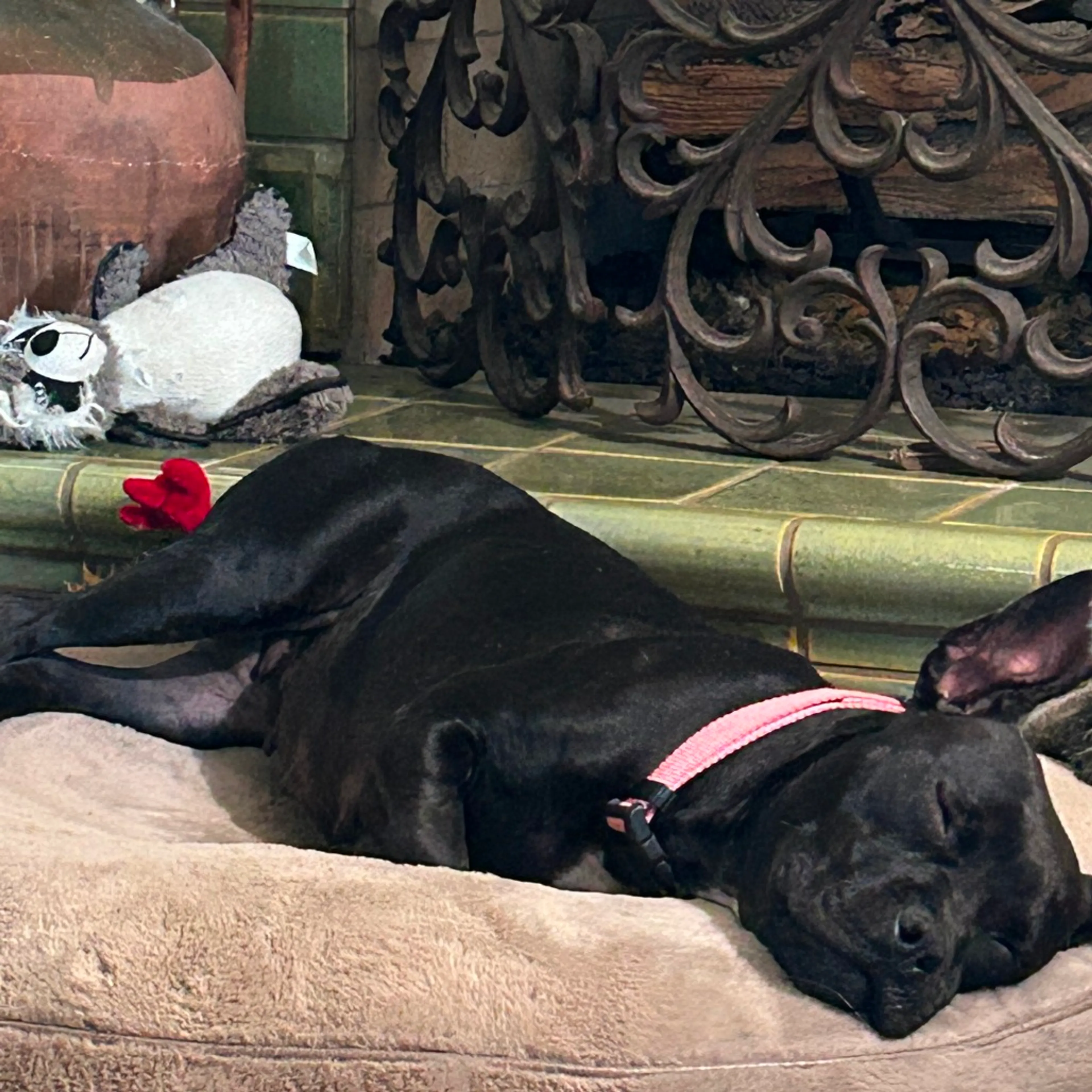 -6
