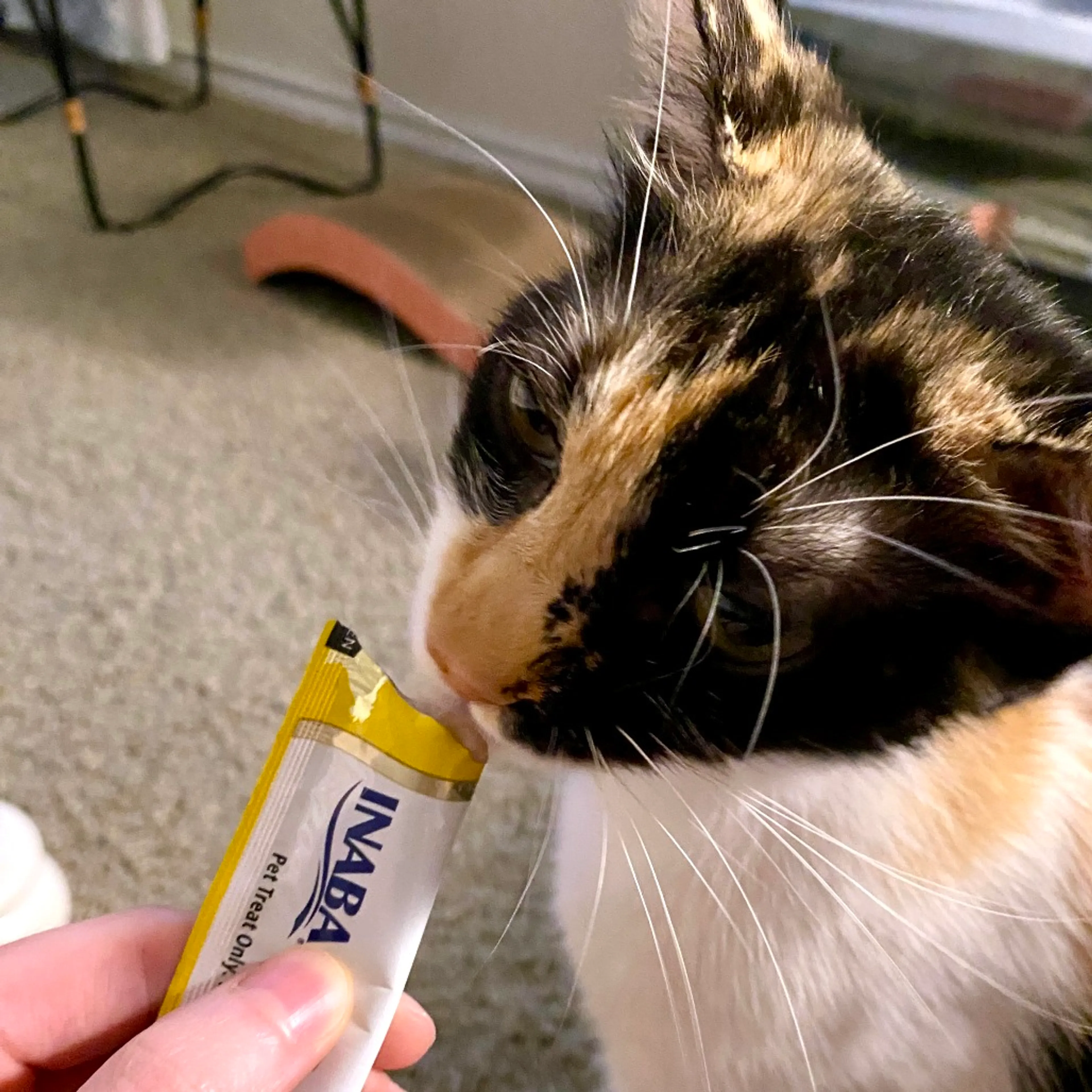 -2