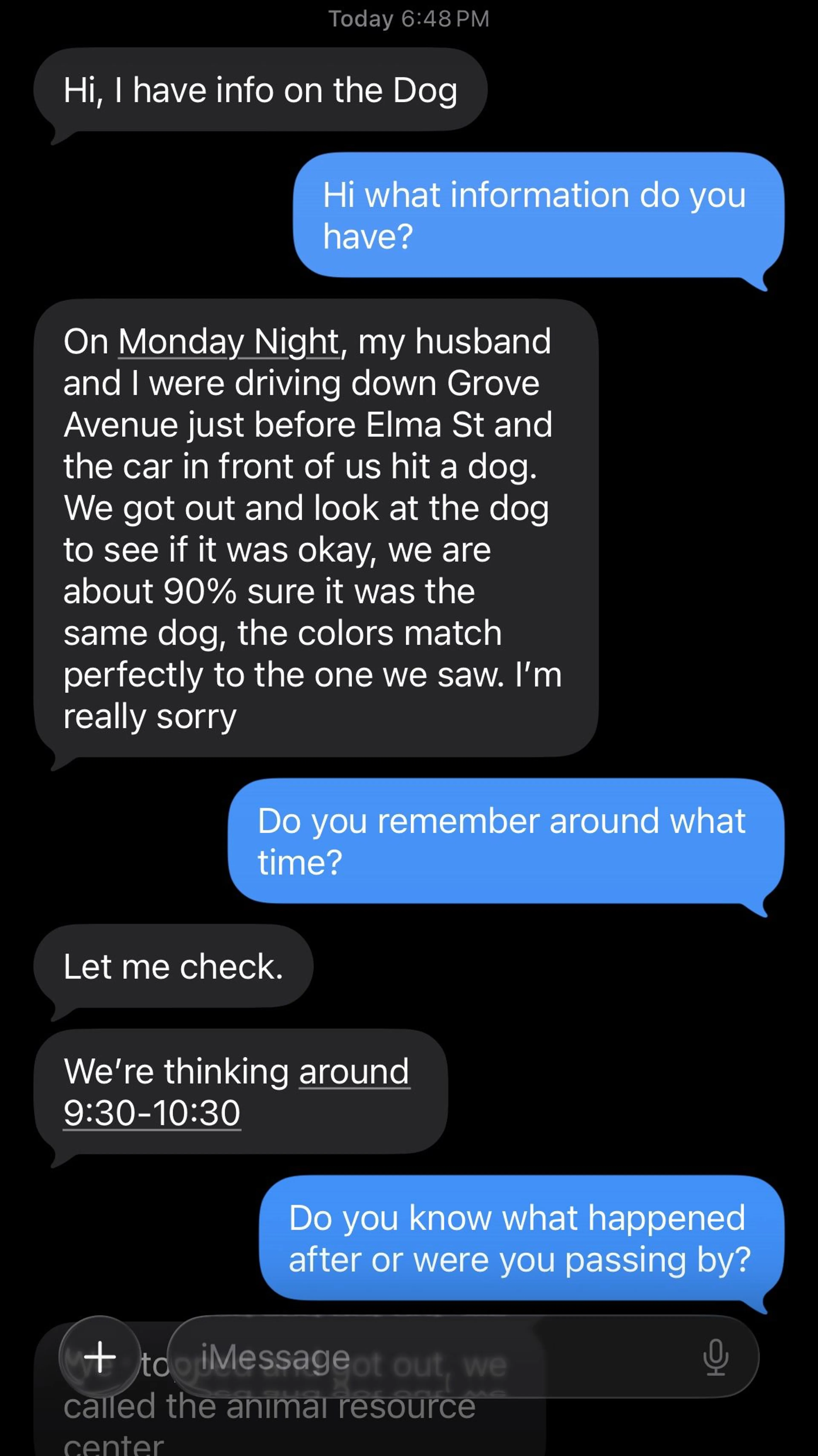 Lost pet-2