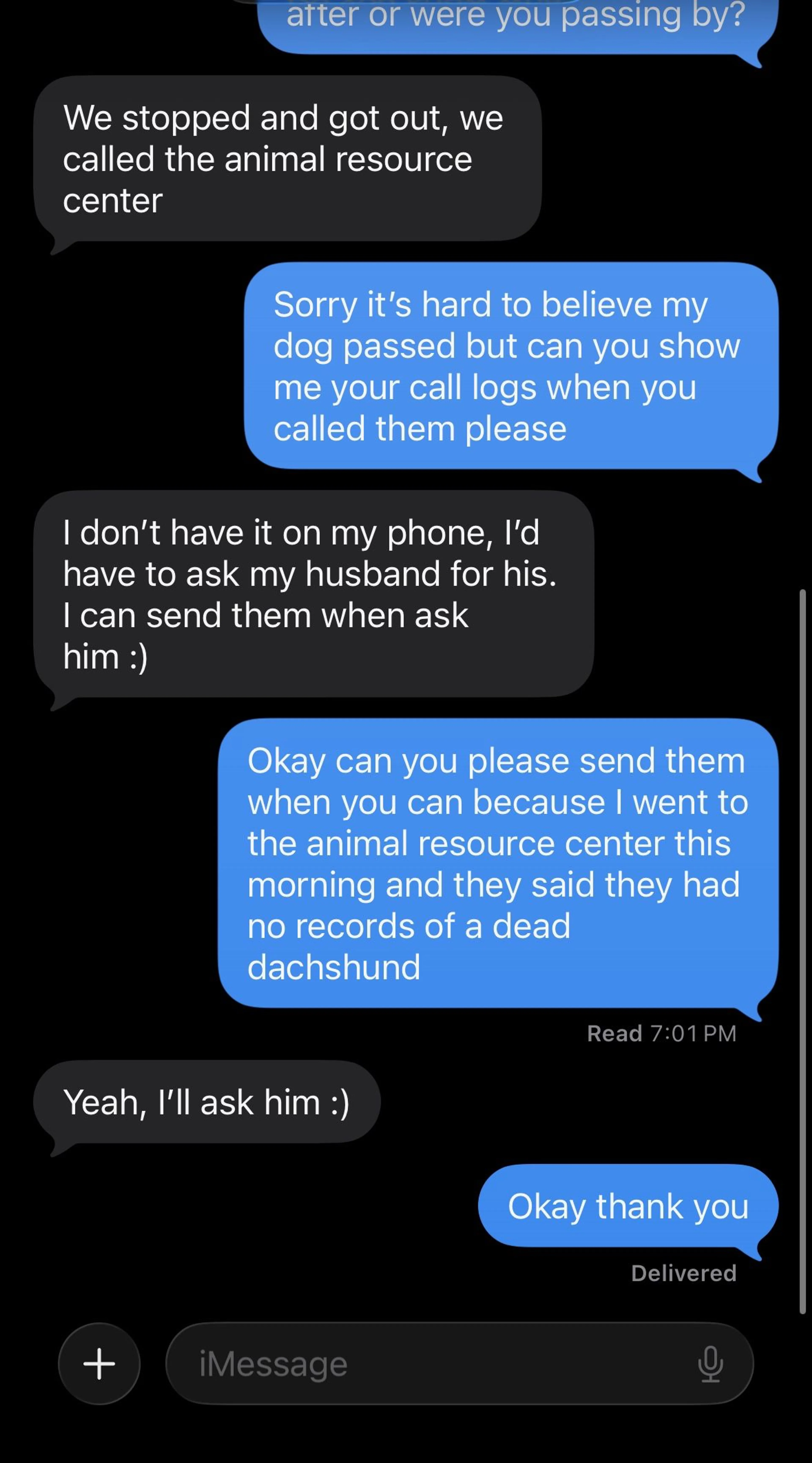 Lost pet-3