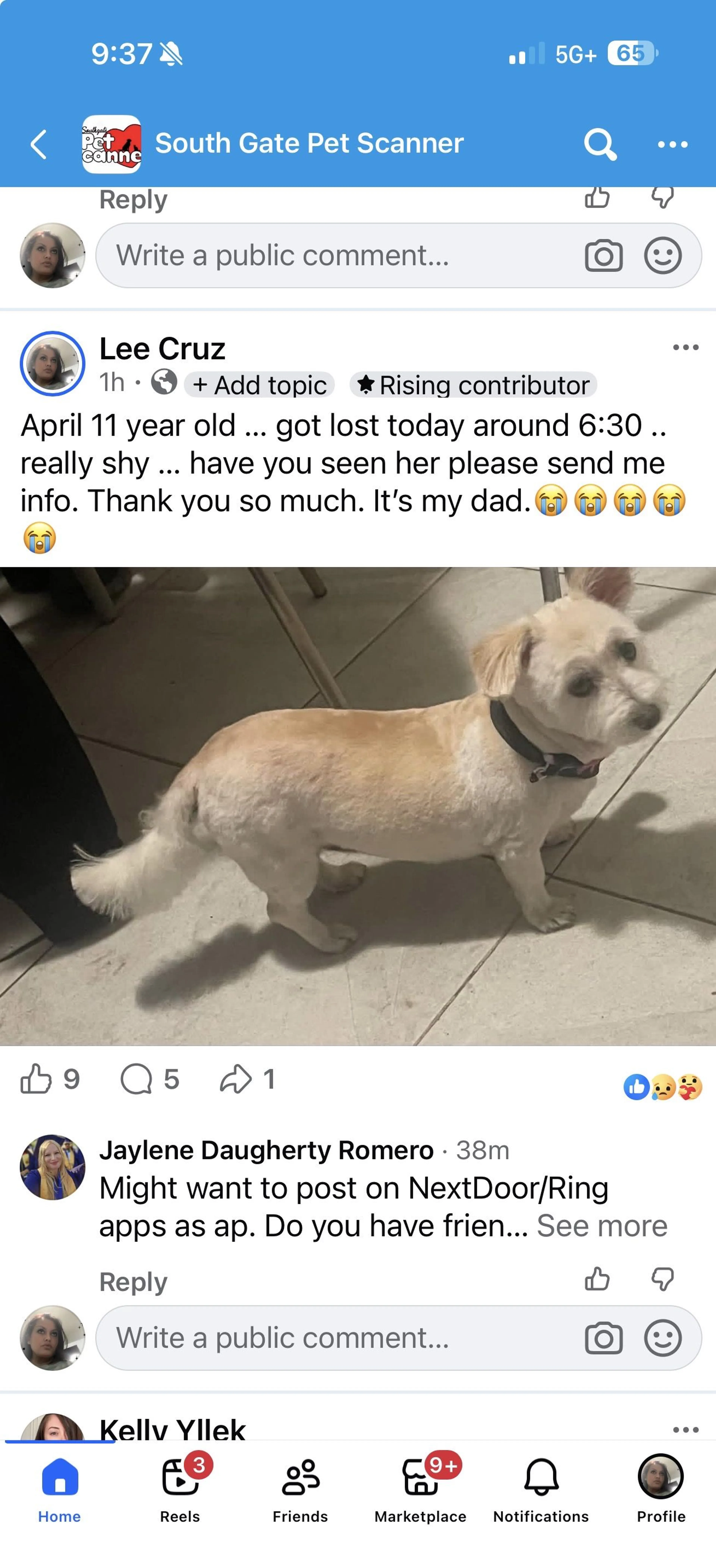 Lost pet
