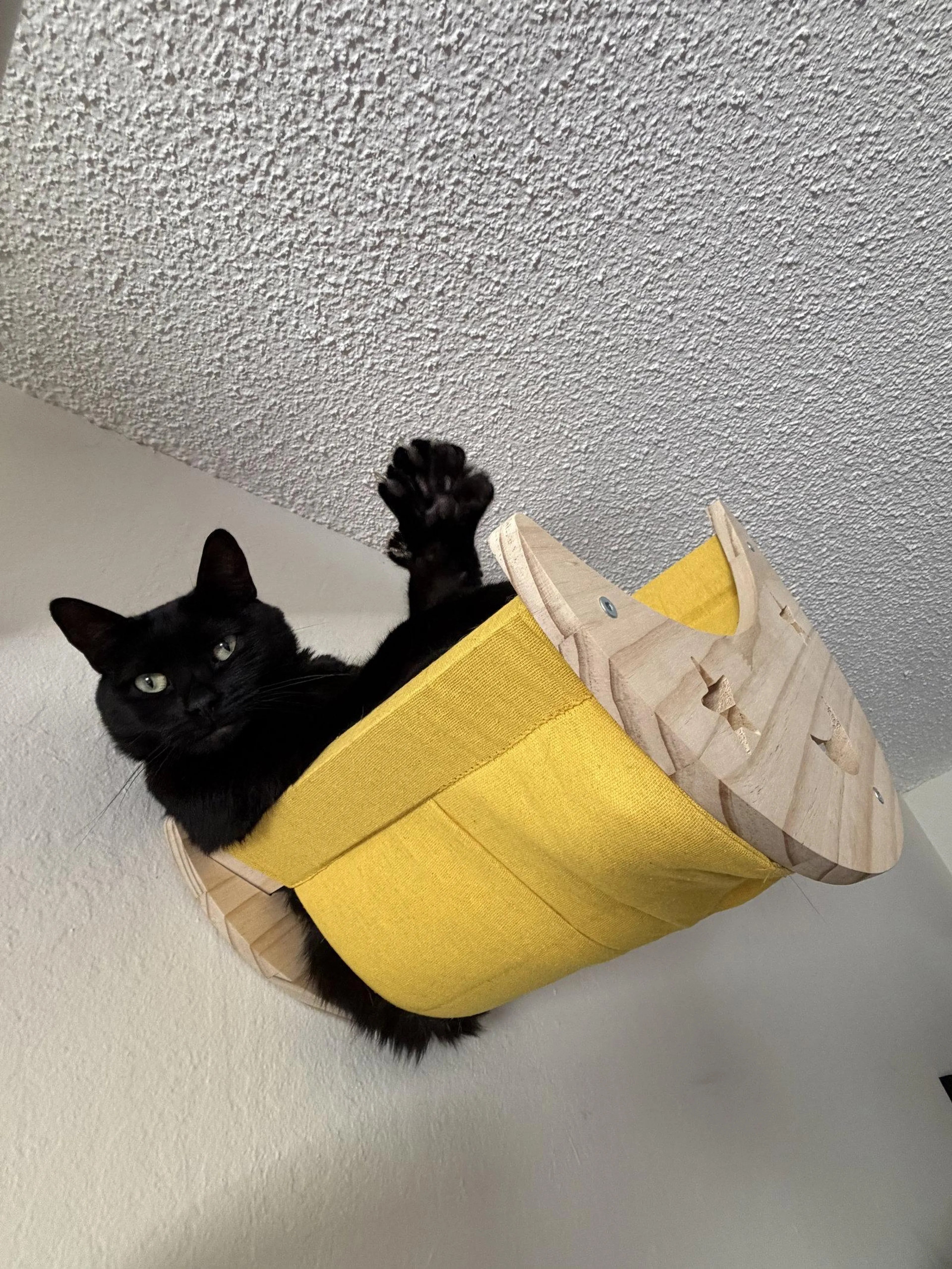 Found pet-0