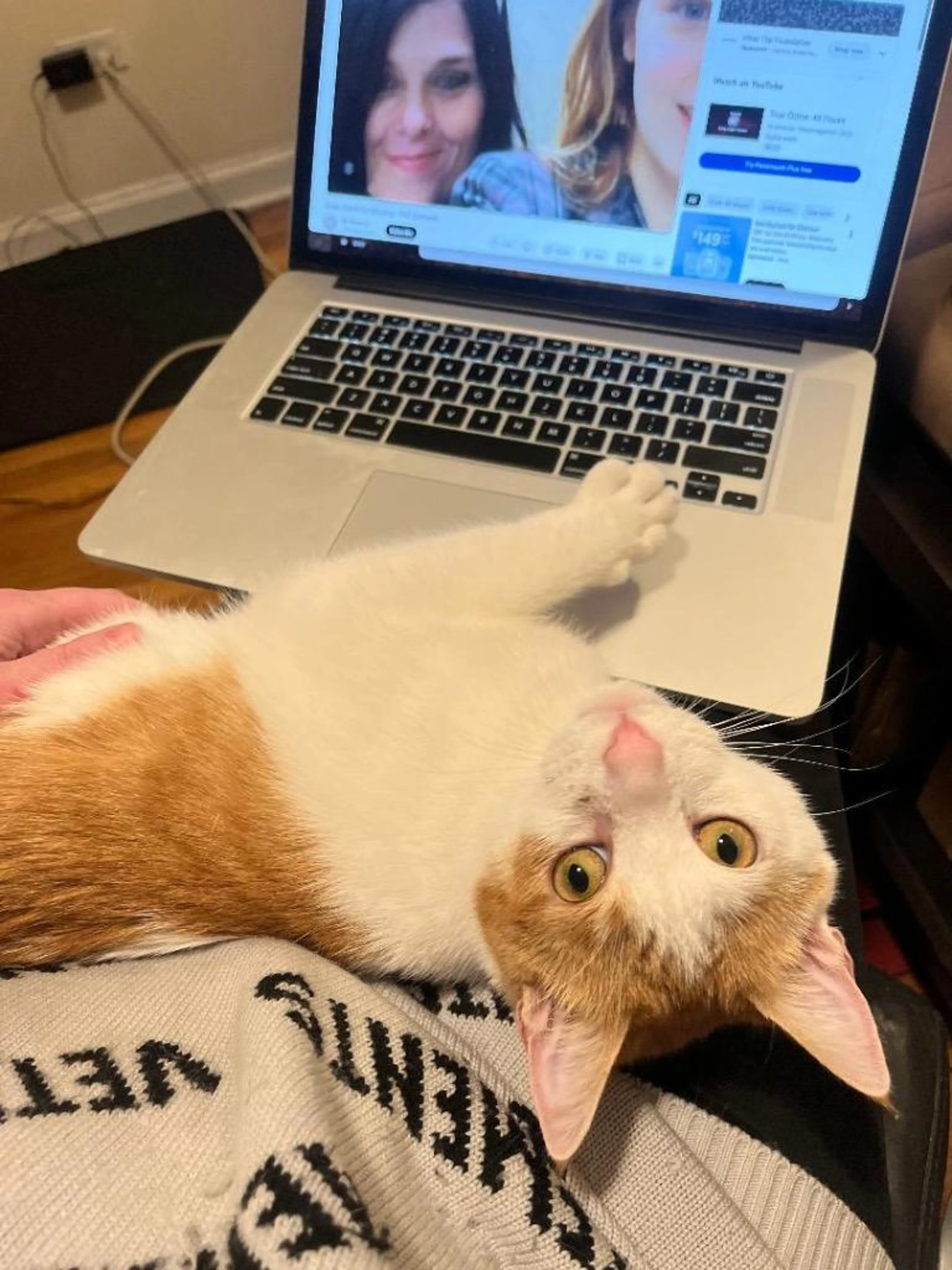Found pet-1